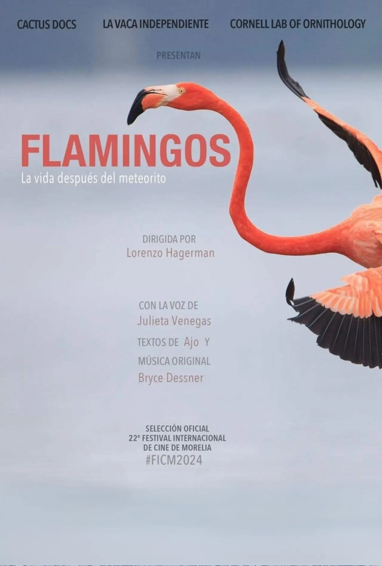 Plakat filmowy "Flamingos: La vida después del meteorito"