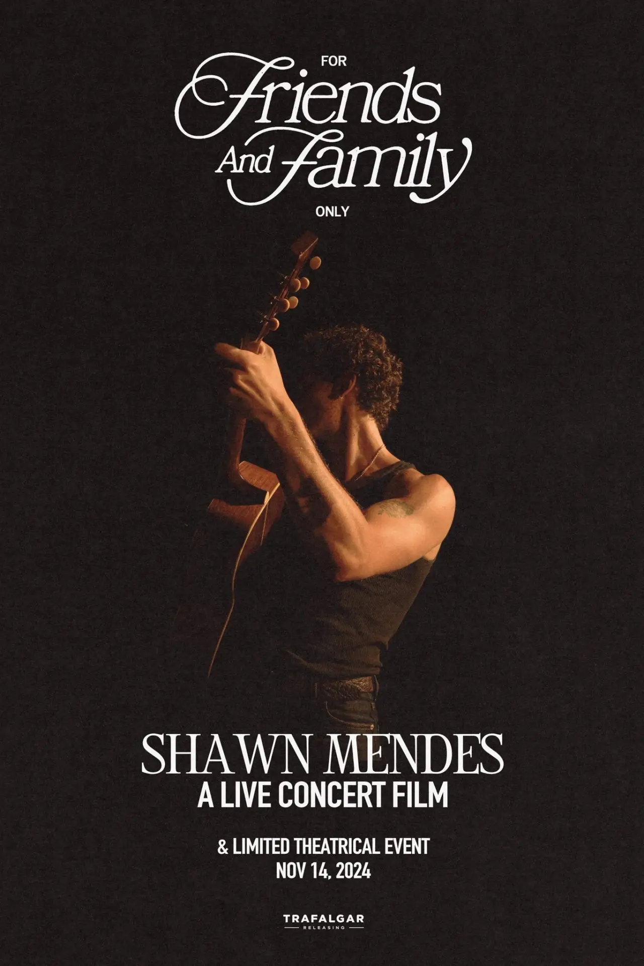 Plakat filmowy "Shawn Mendes: For Friends and Family Only – A Live Concert Film"
