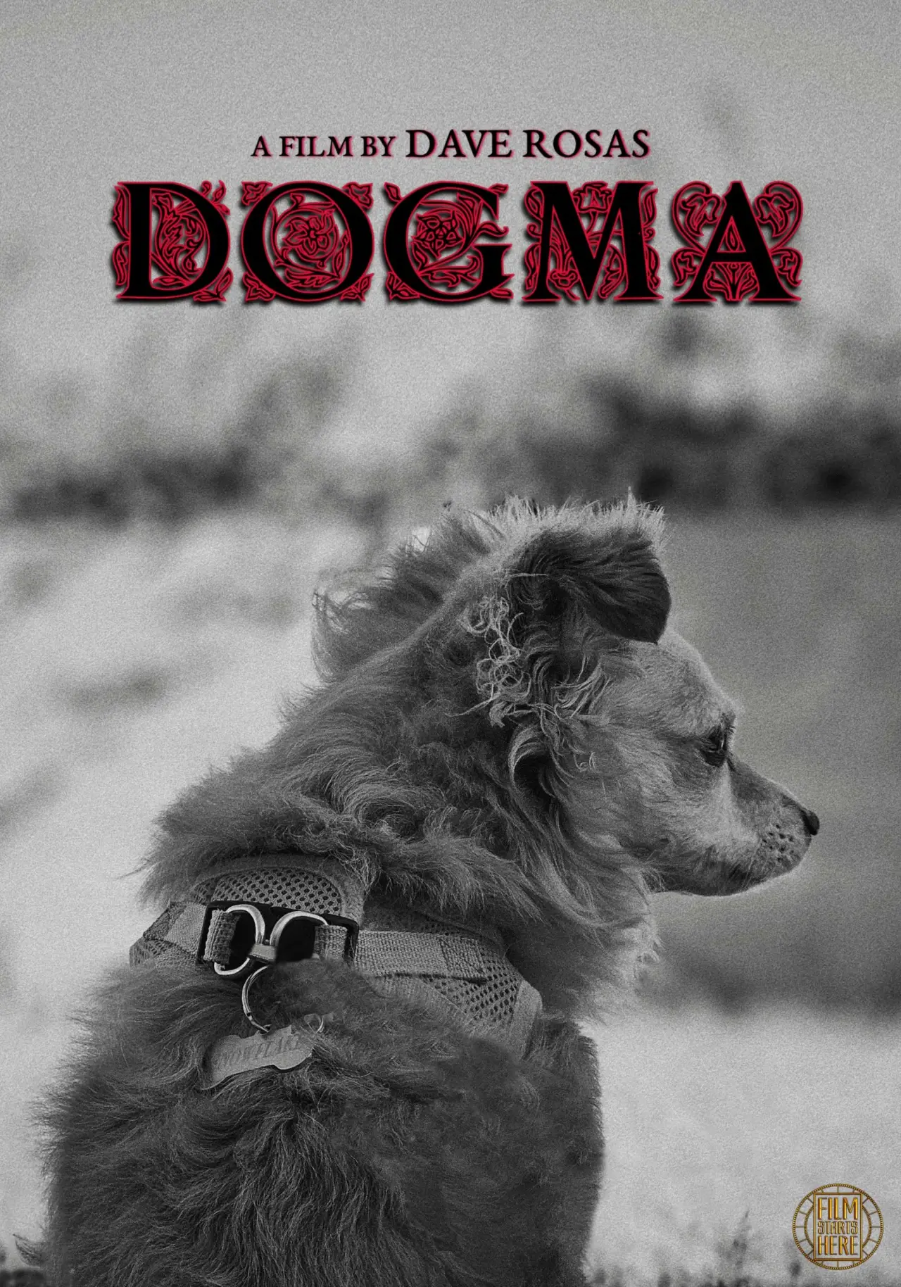 Plakat filmowy "DOGMA"