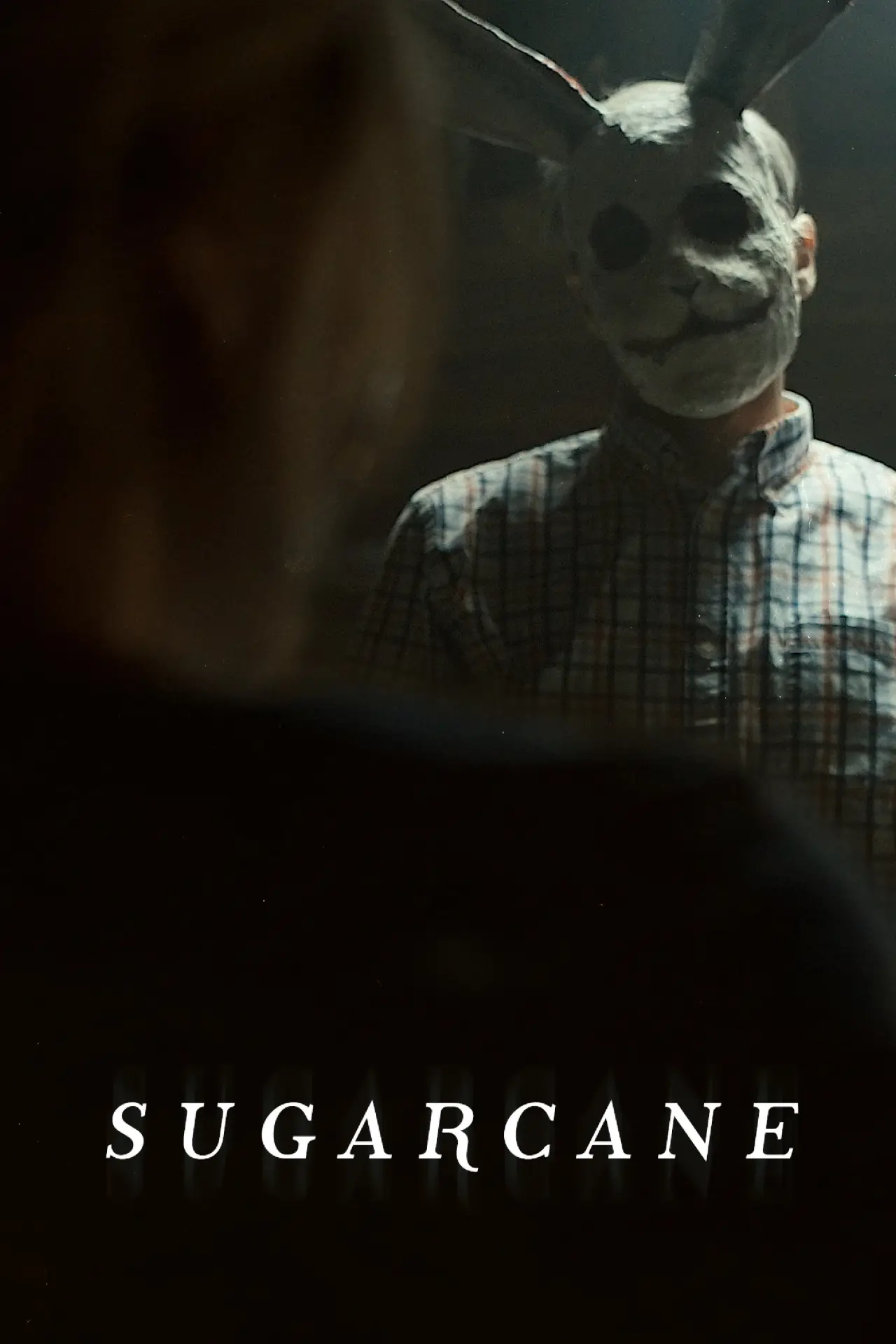 Plakat filmowy "Sugarcane"