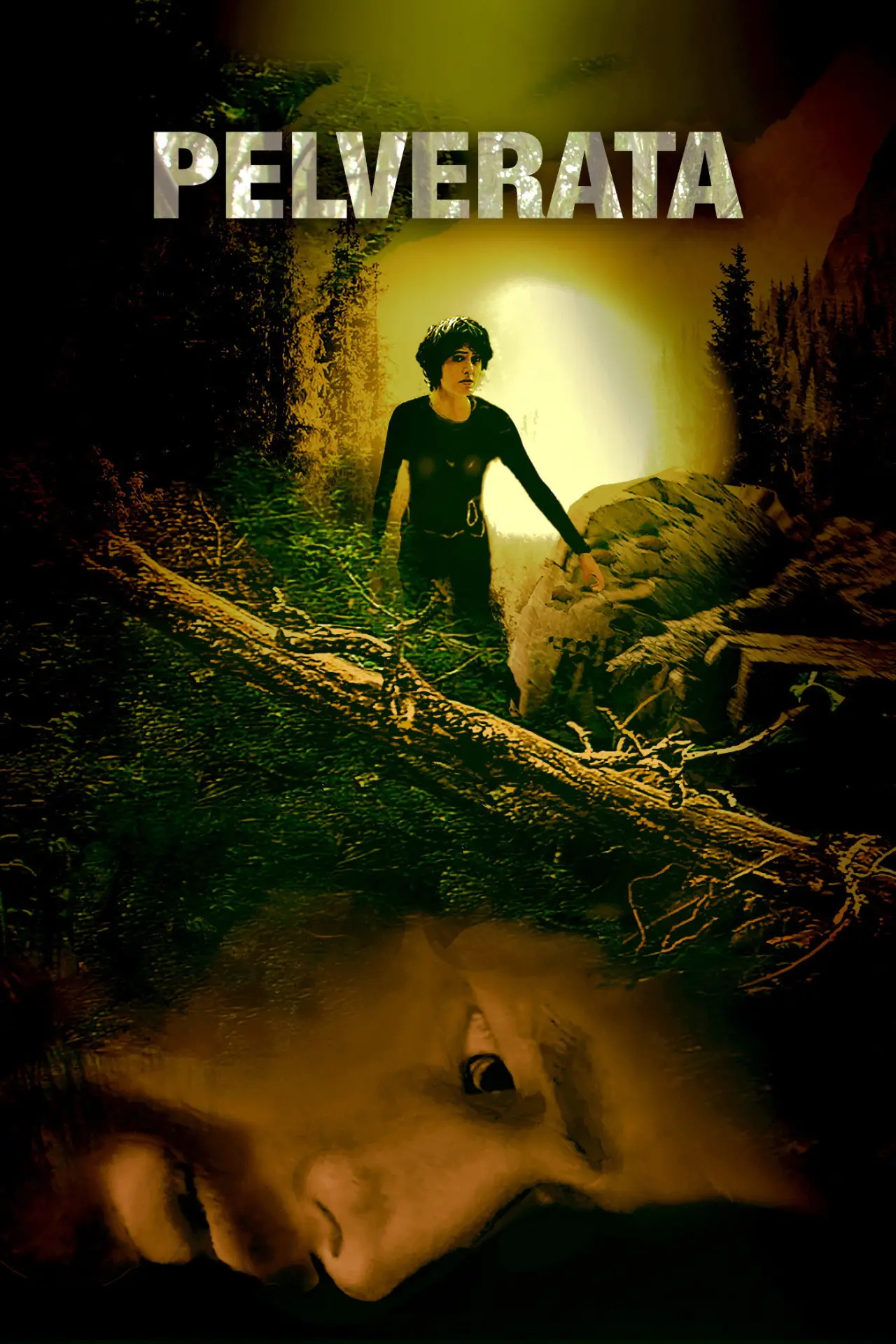 Plakat filmowy "Pelverata"
