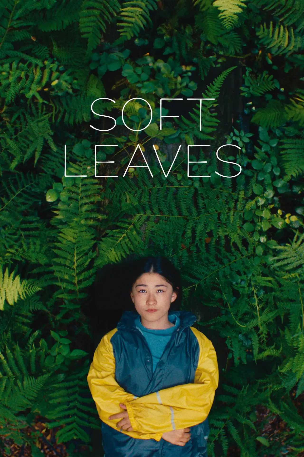 Plakat filmowy "Soft Leaves"