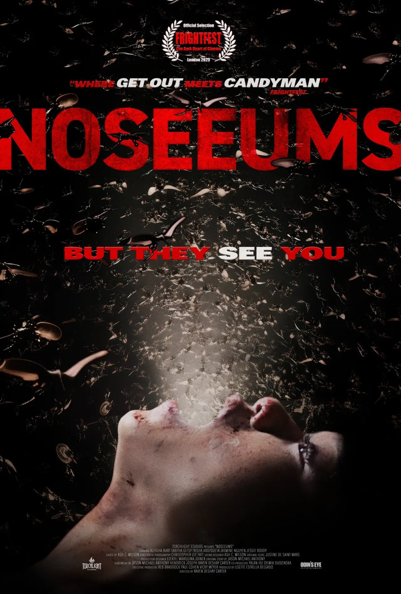 Plakat filmowy "Noseeums"