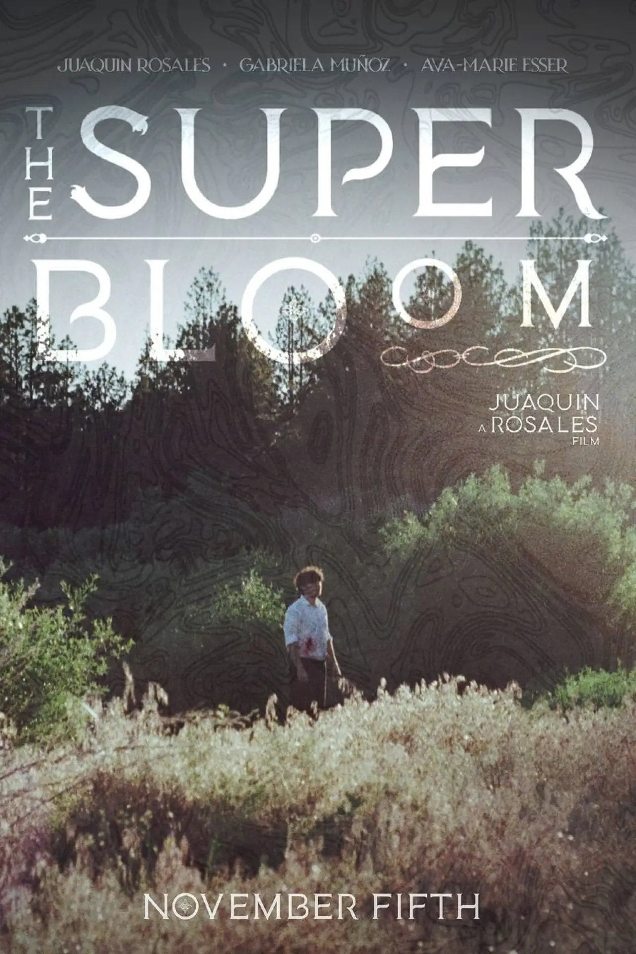Plakat filmowy "The Superbloom"