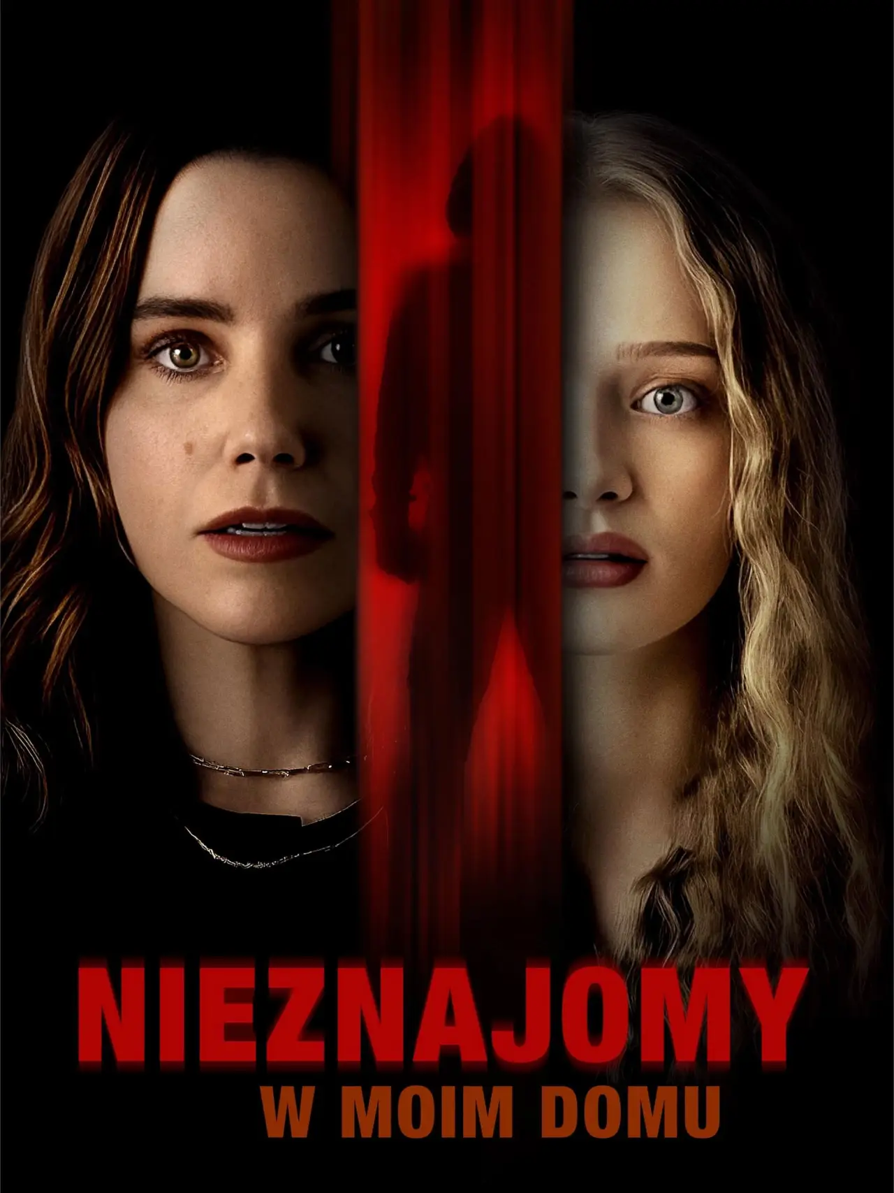 Plakat filmowy "Nieznajomy w moim domu"