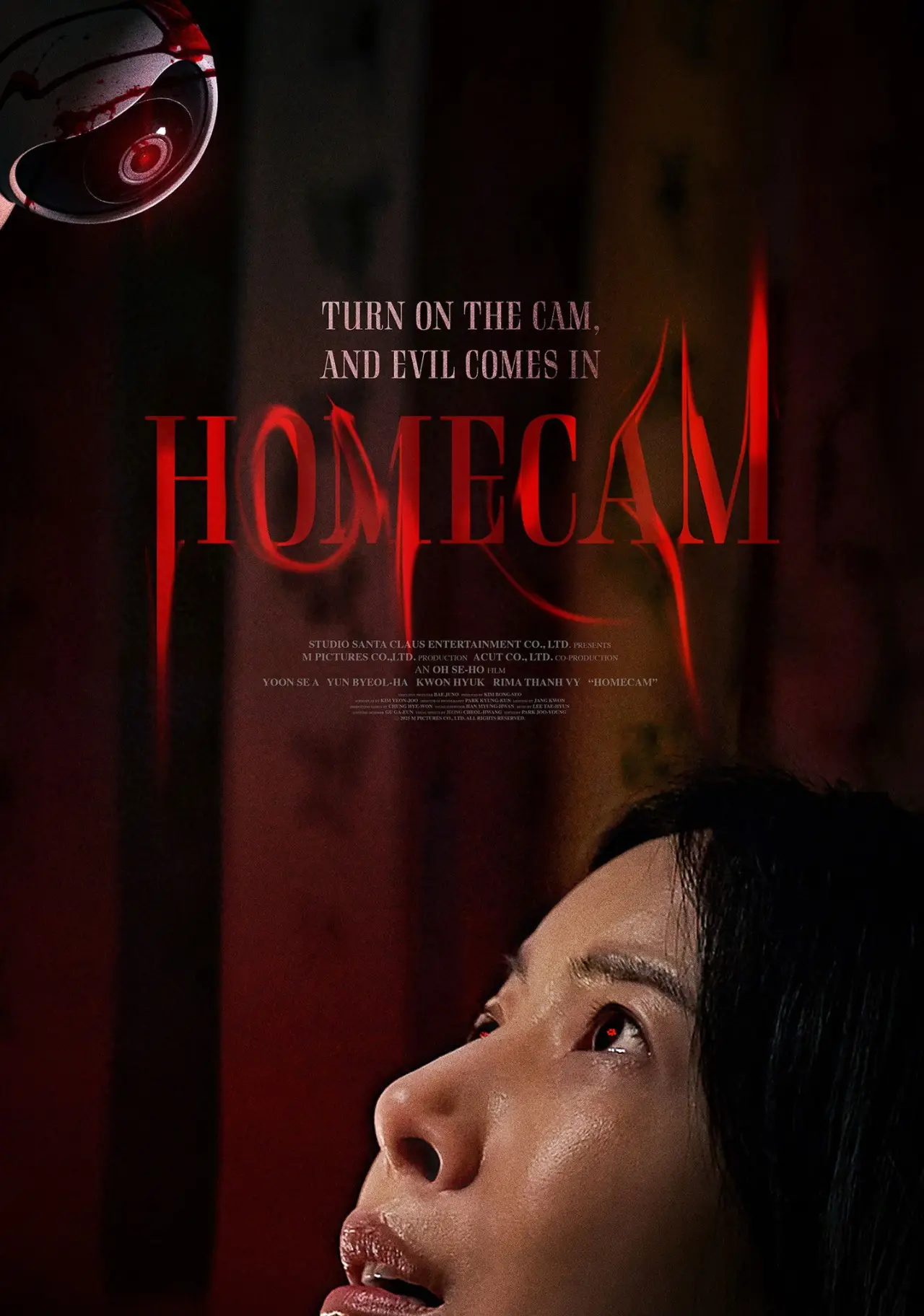Plakat filmowy "홈캠"