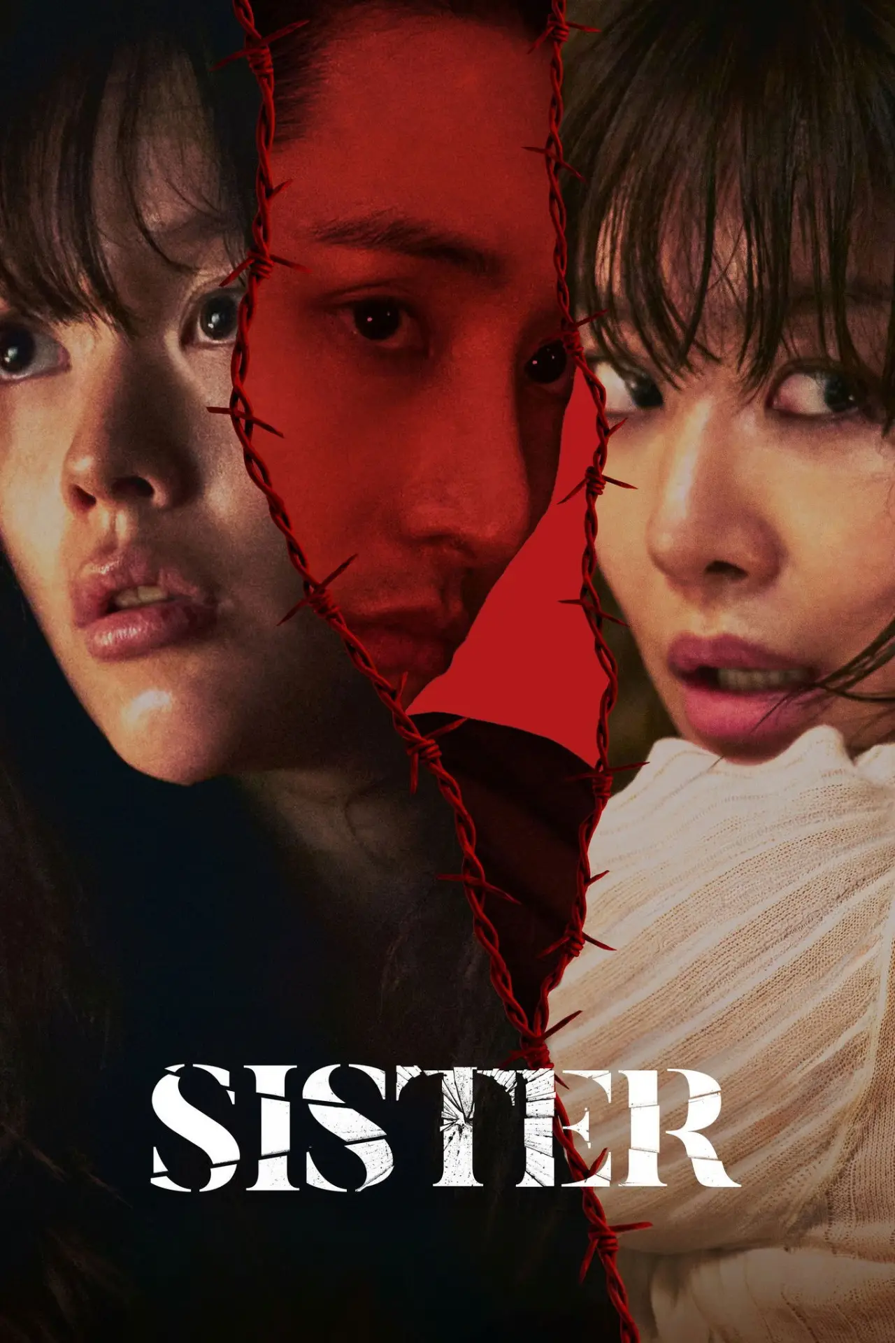 Plakat filmowy "시스터"
