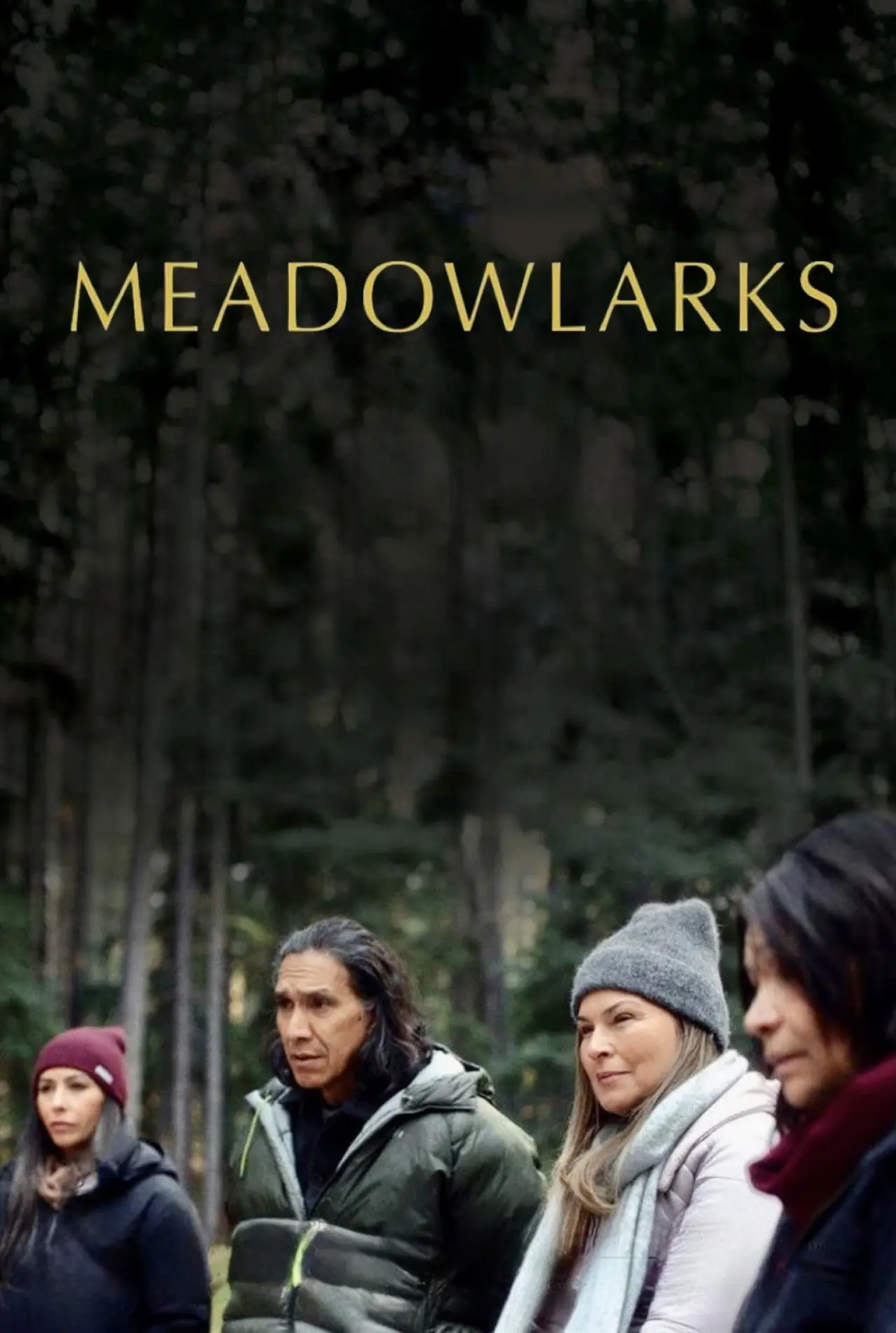 Plakat filmowy "Meadowlarks"