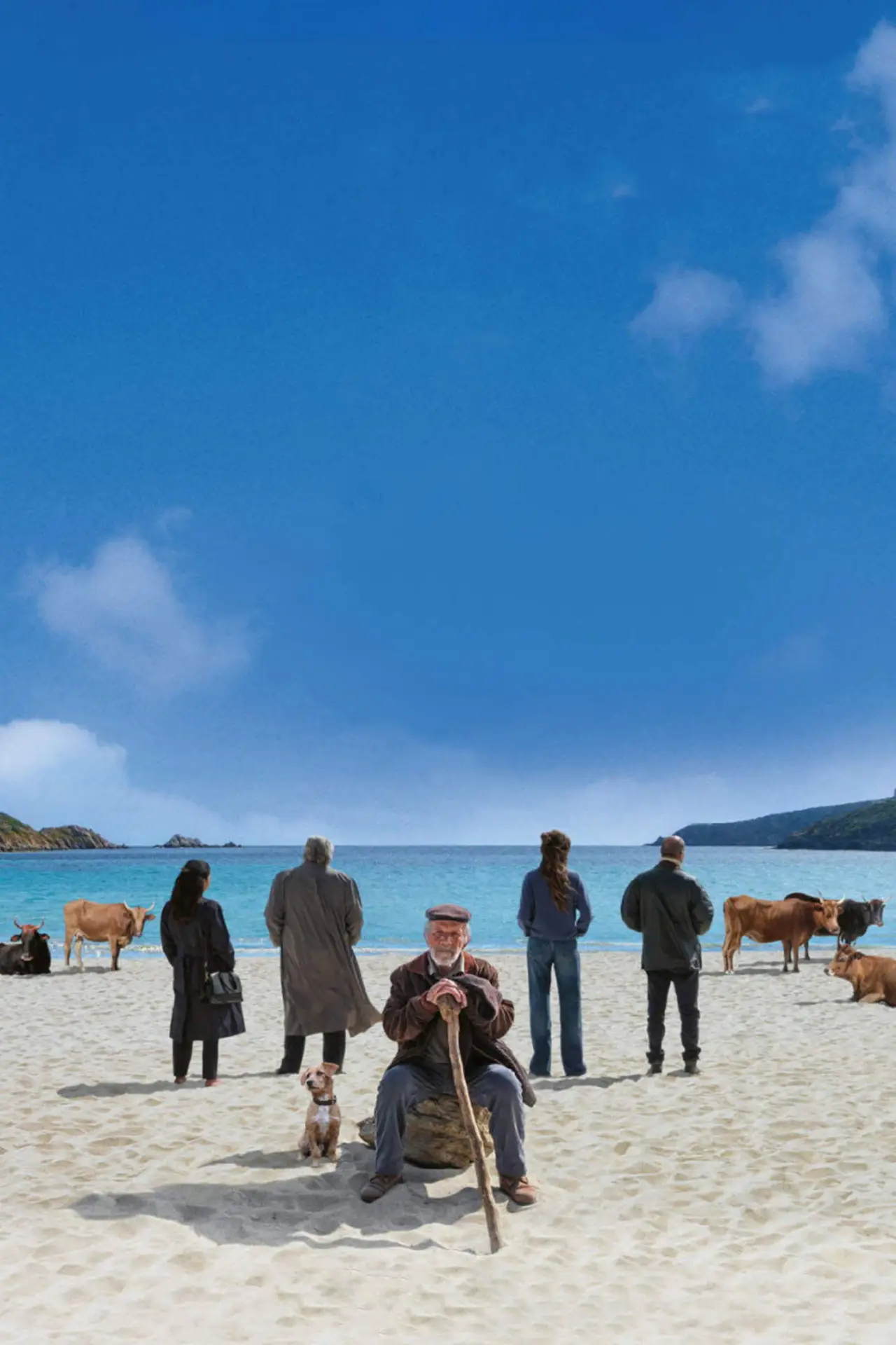 Plakat filmowy "La vita va così"