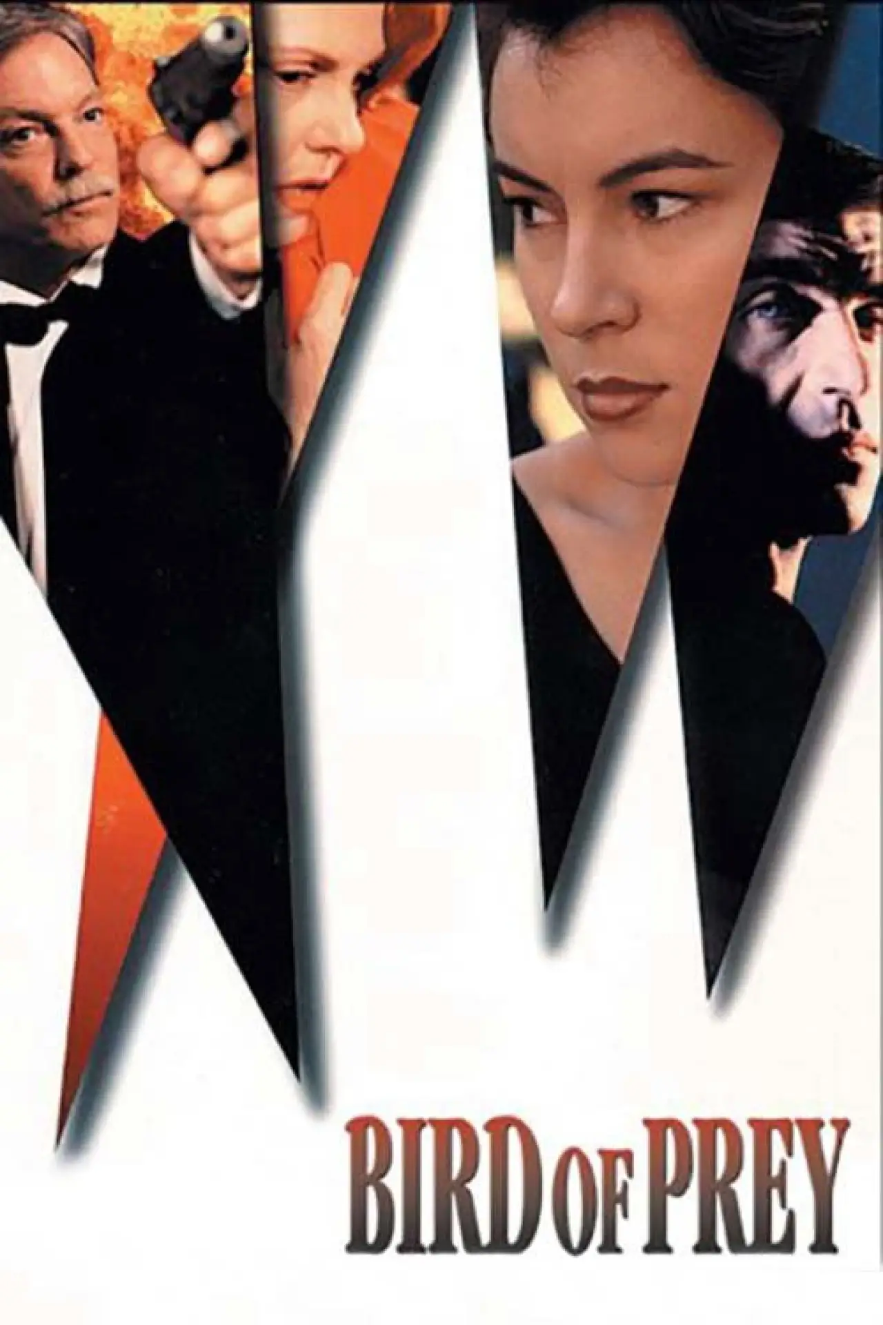 Plakat filmowy "Bird of Prey"