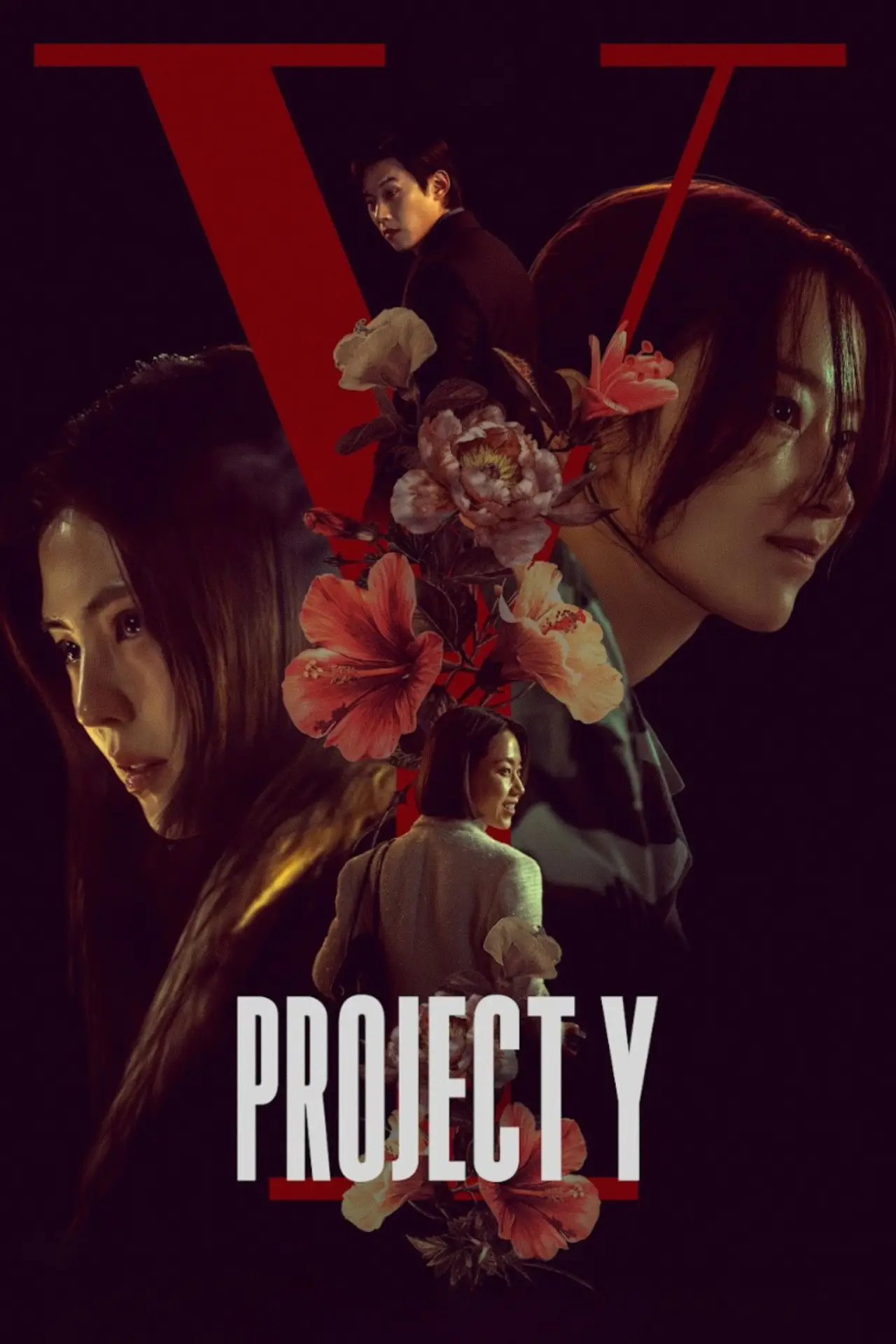 Plakat filmowy "프로젝트 Y"