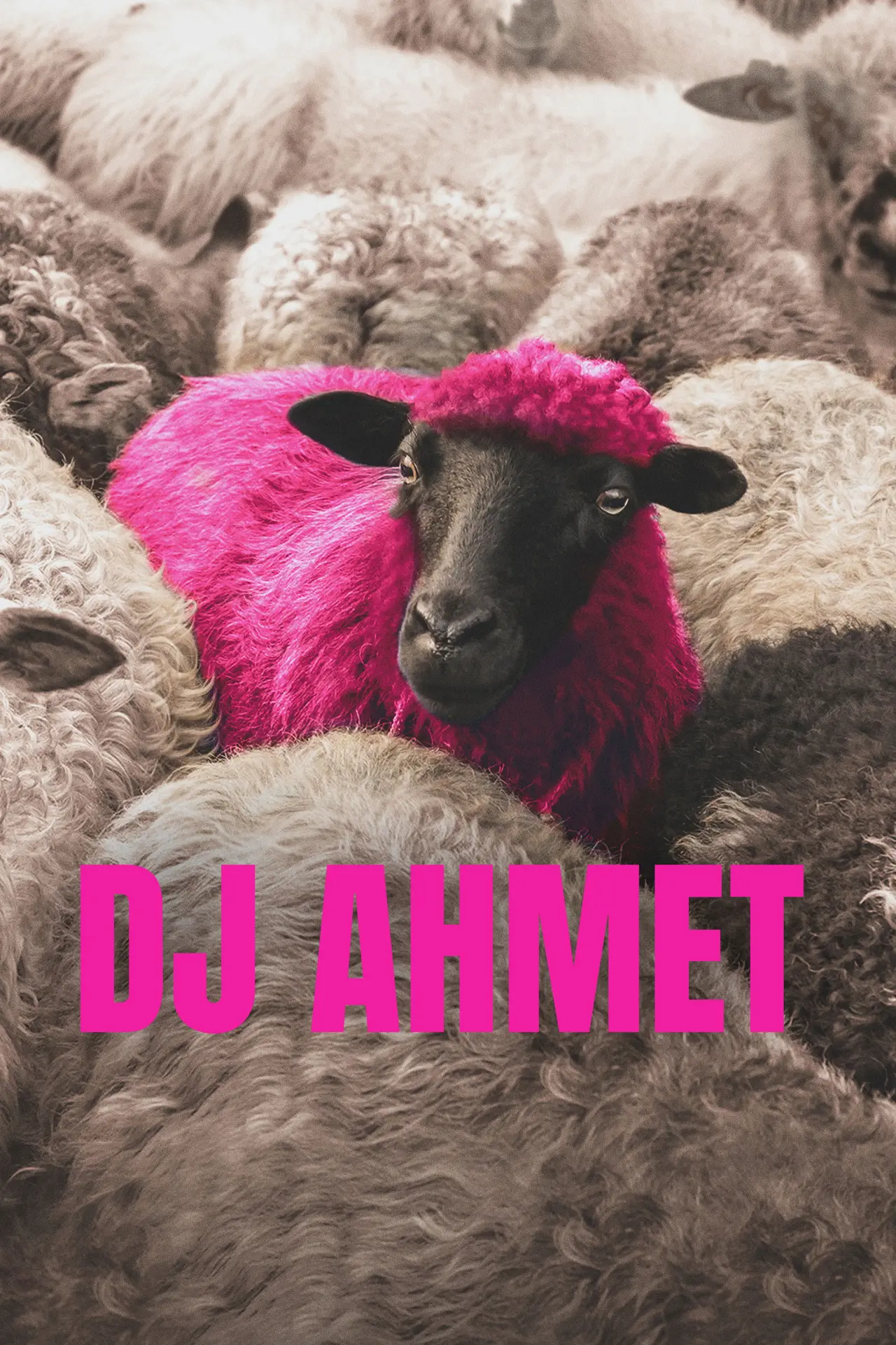 Plakat filmowy "Диџеј Ахмет"