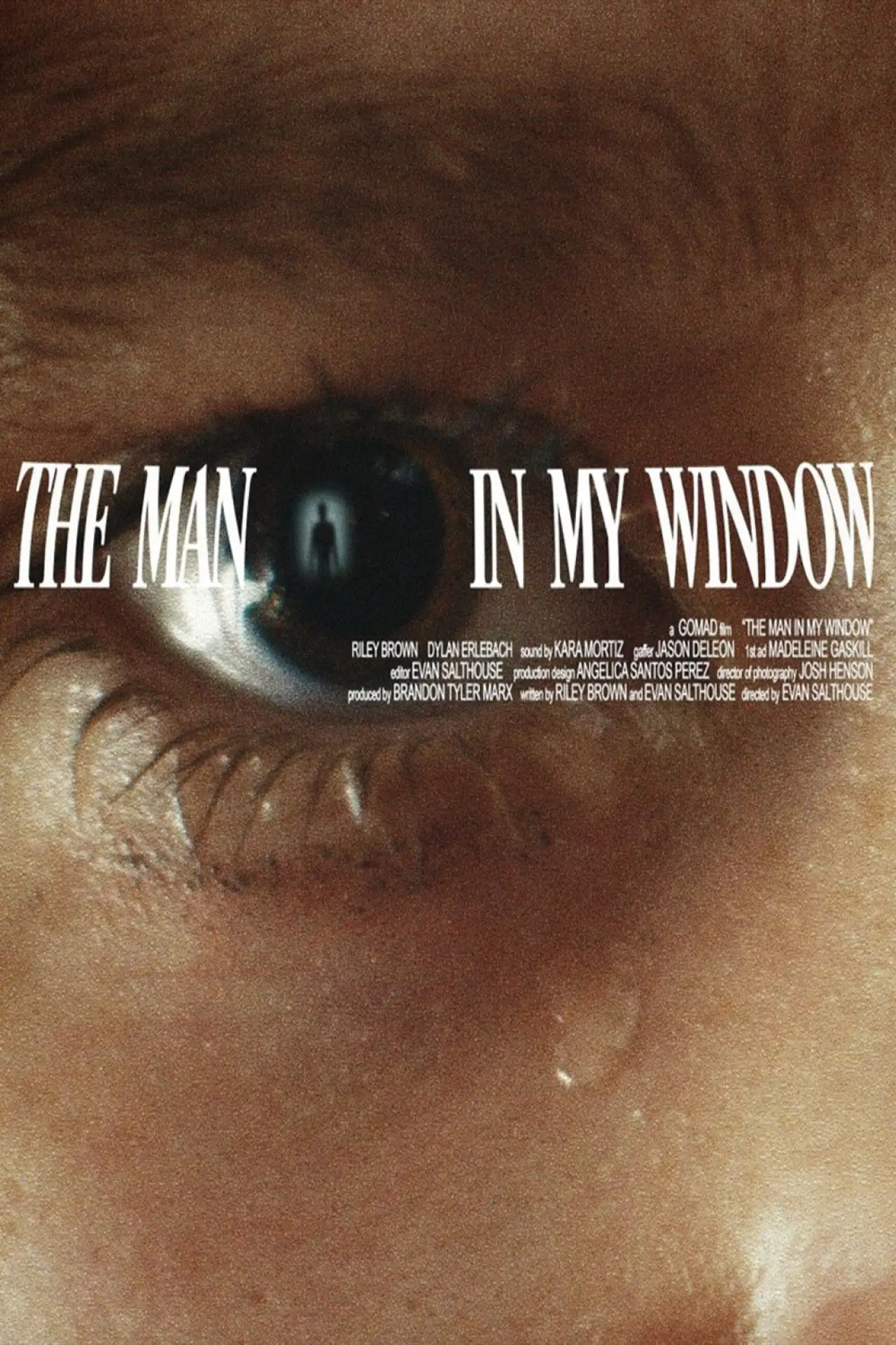 Plakat filmowy "The Man In My Window"