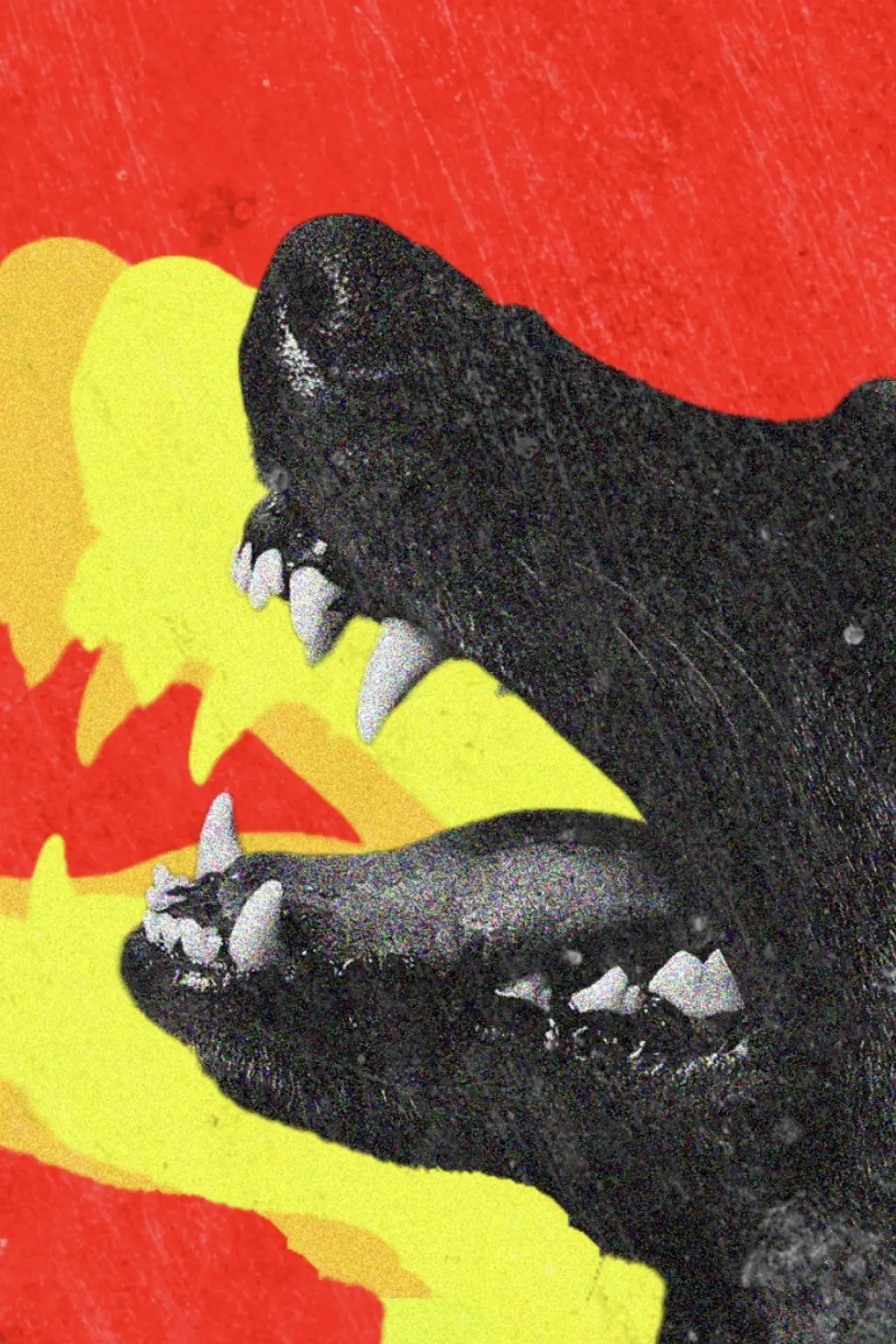 Plakat filmowy "DOGTOOTH"