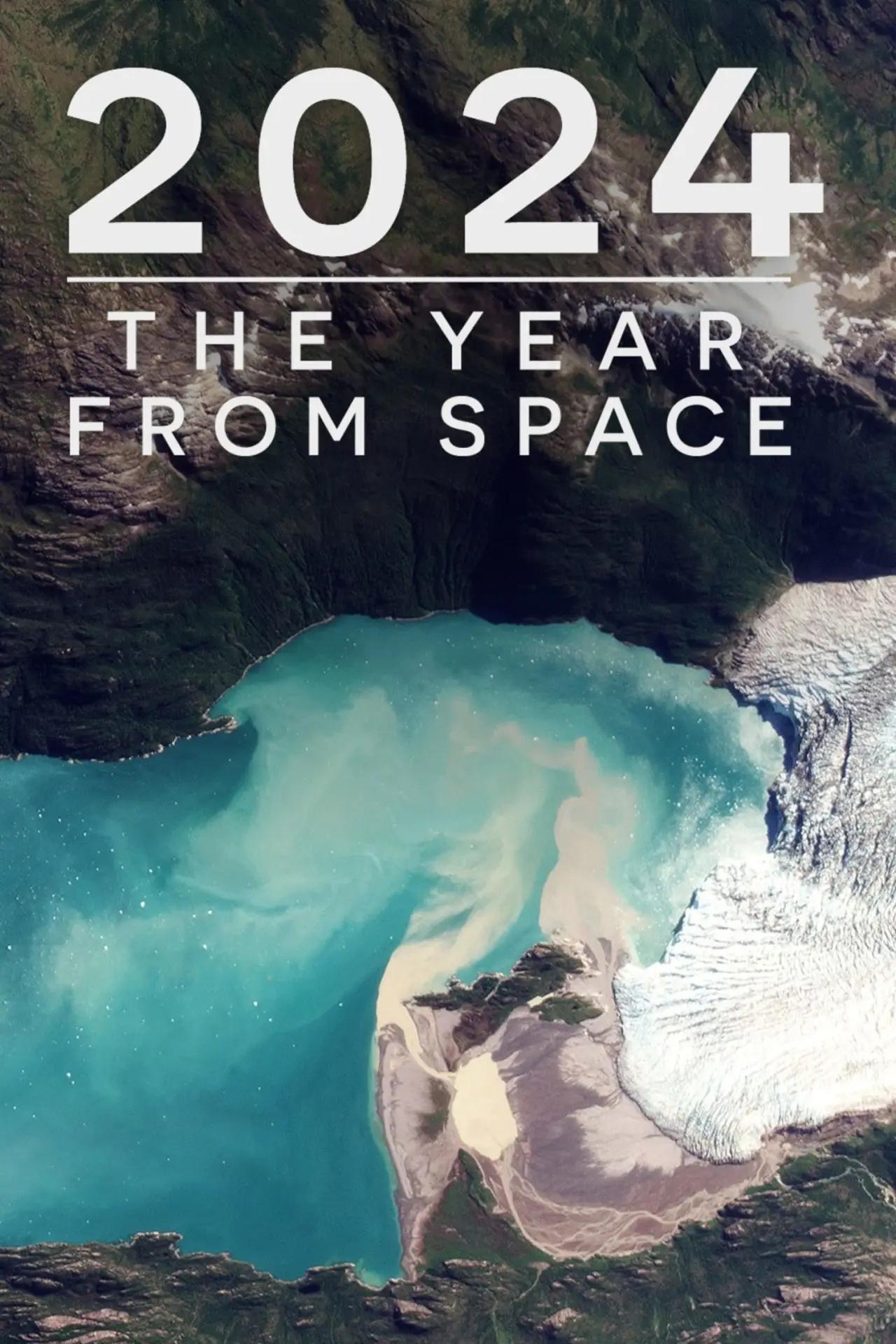 Plakat filmowy "2024: The Year From Space"