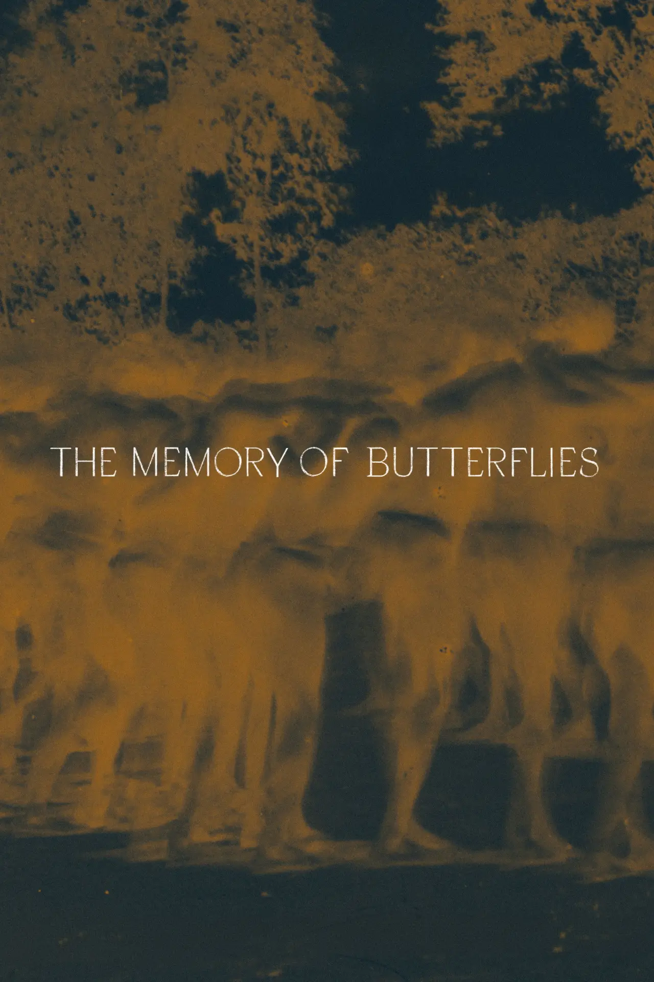 Plakat filmowy "La memoria de las mariposas"