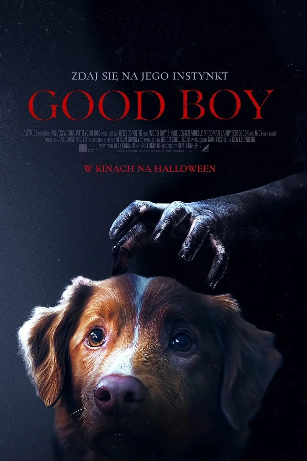 Plakat filmowy "Good boy"