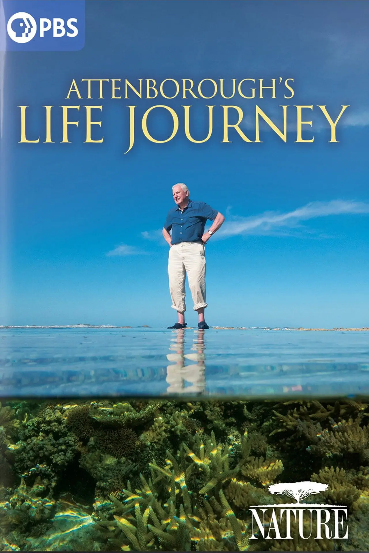 Plakat filmowy "Attenborough