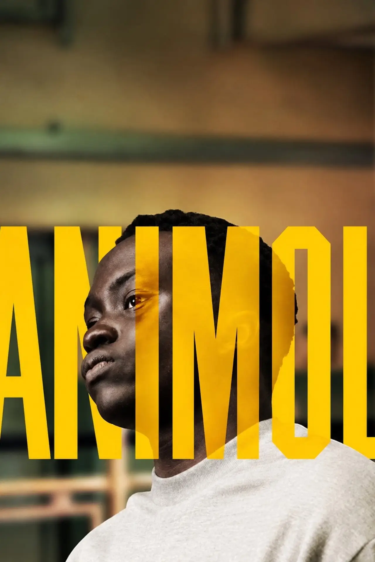 Plakat filmowy "Animol"