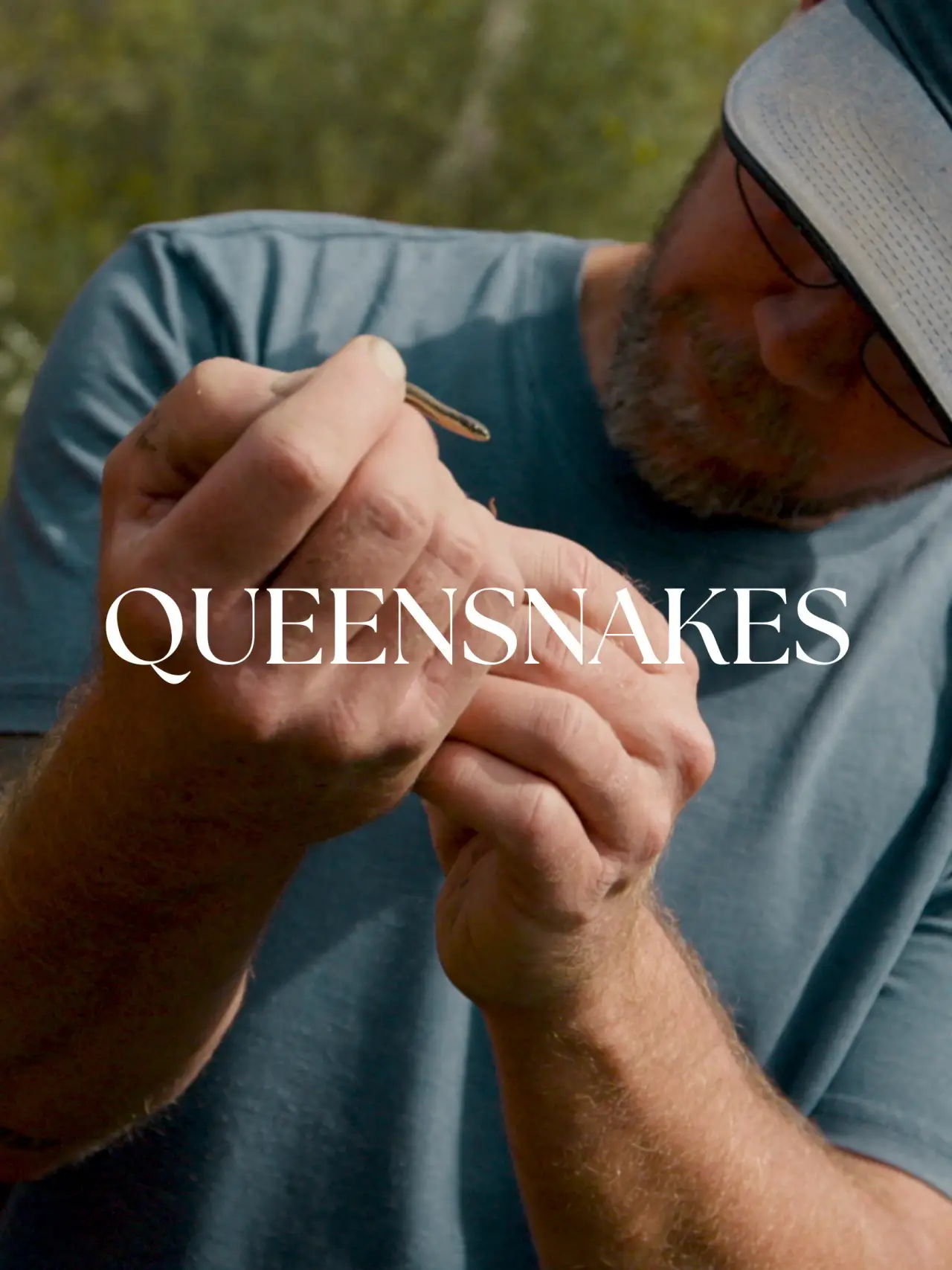 Plakat filmowy "Queensnakes"