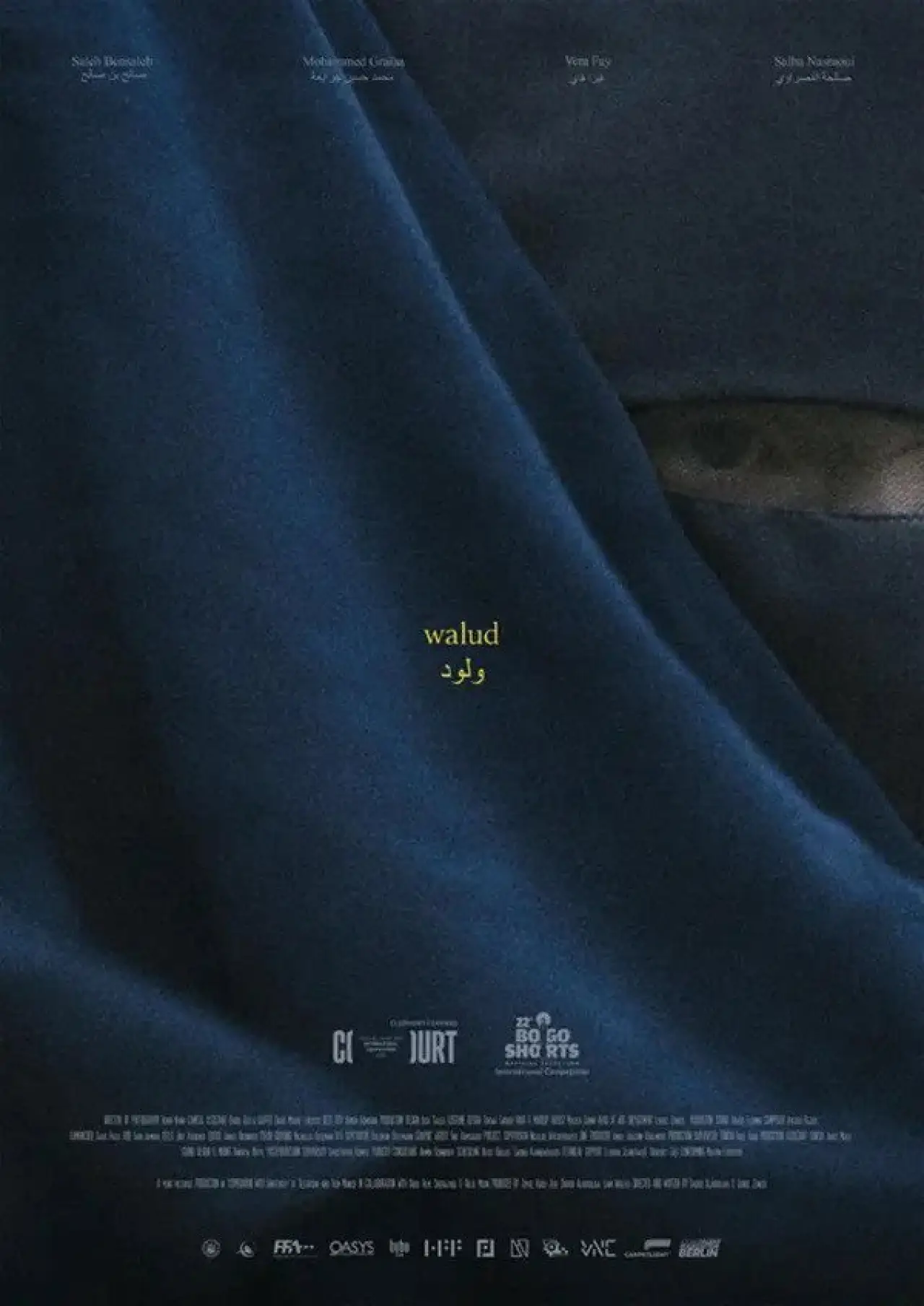 Plakat filmowy "Walud"