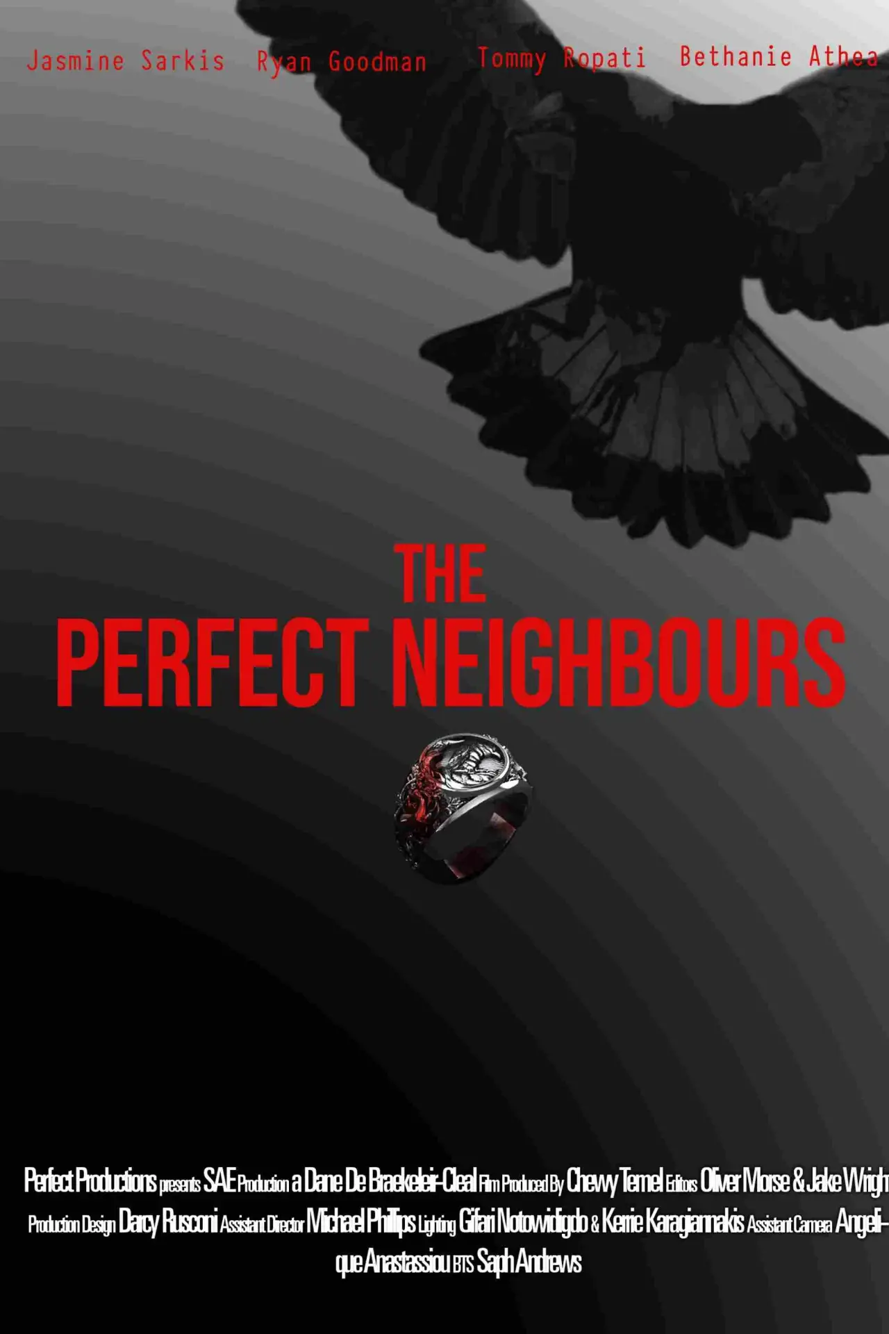 Plakat filmowy "The Perfect Neighbours"