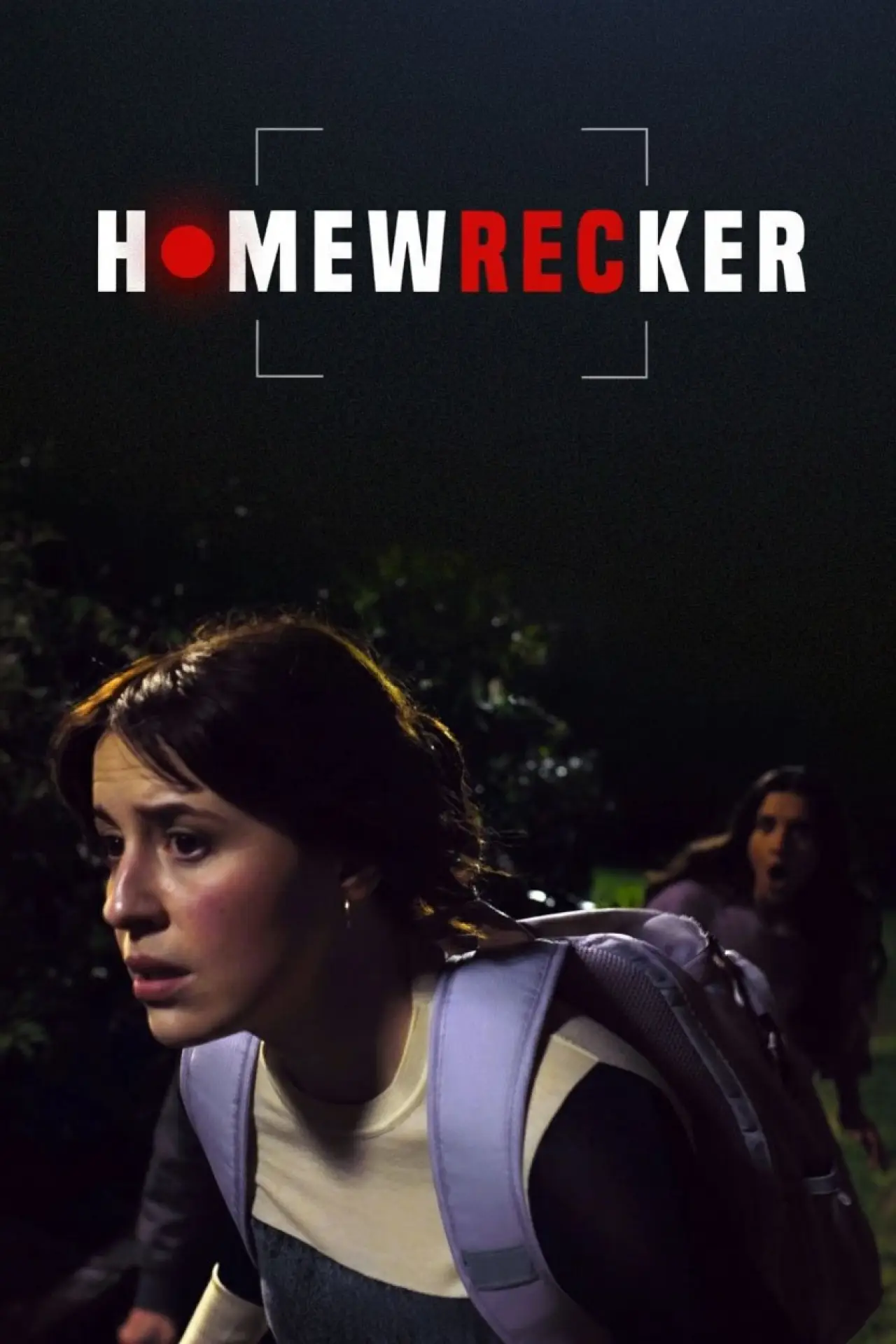 Plakat filmowy "Homewrecker"