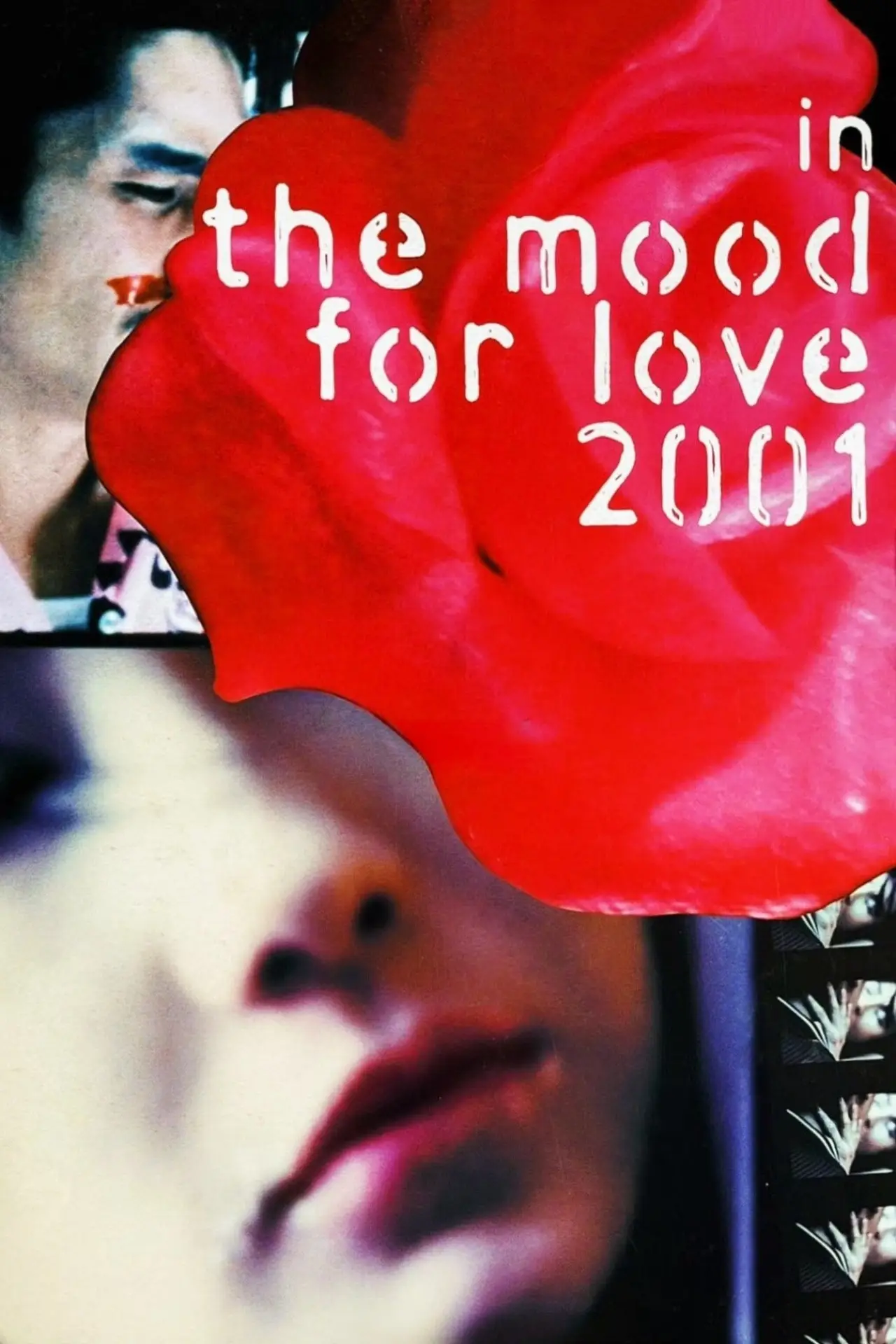 Plakat filmowy "花樣年華2001"