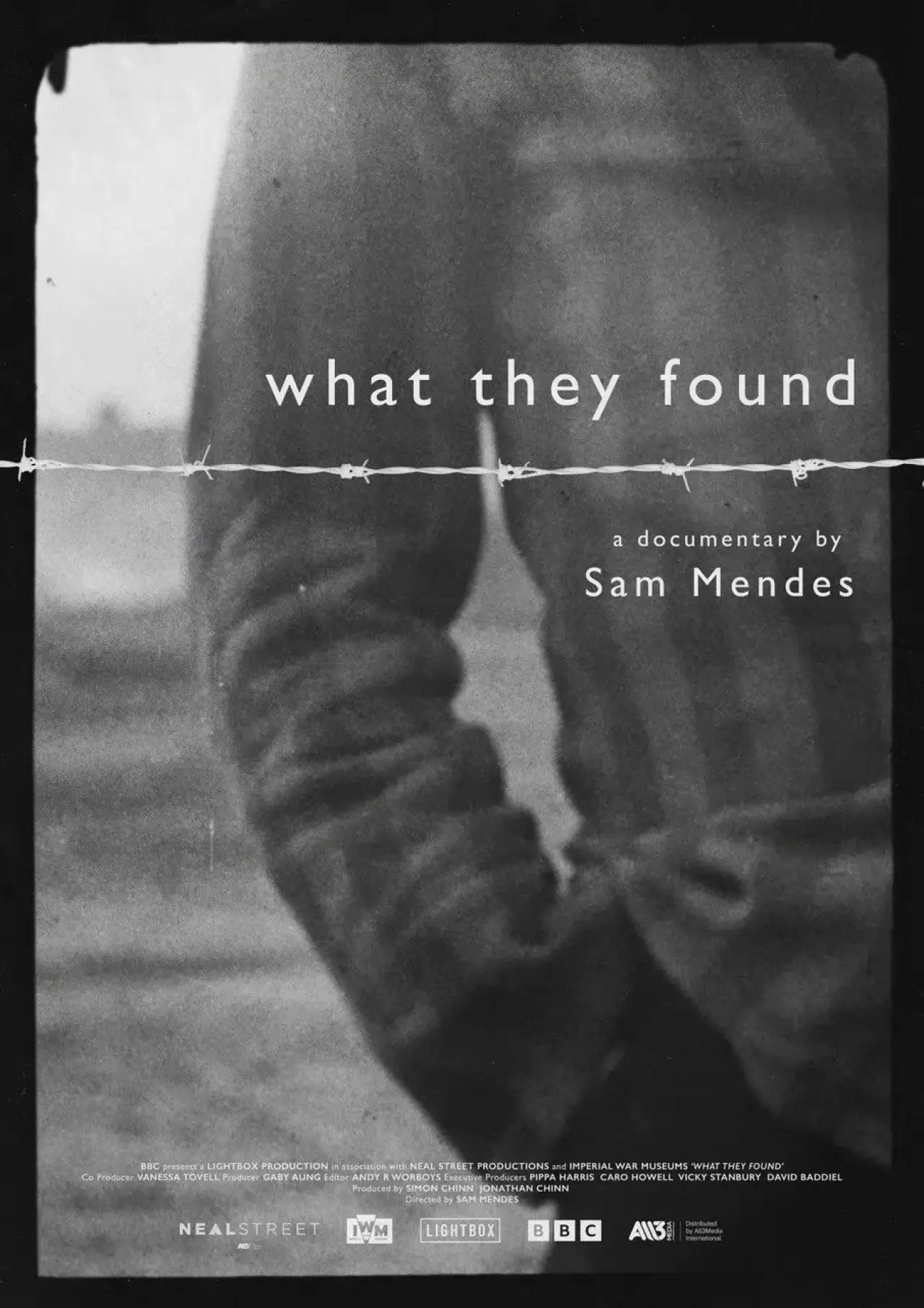 Plakat filmowy "What They Found"