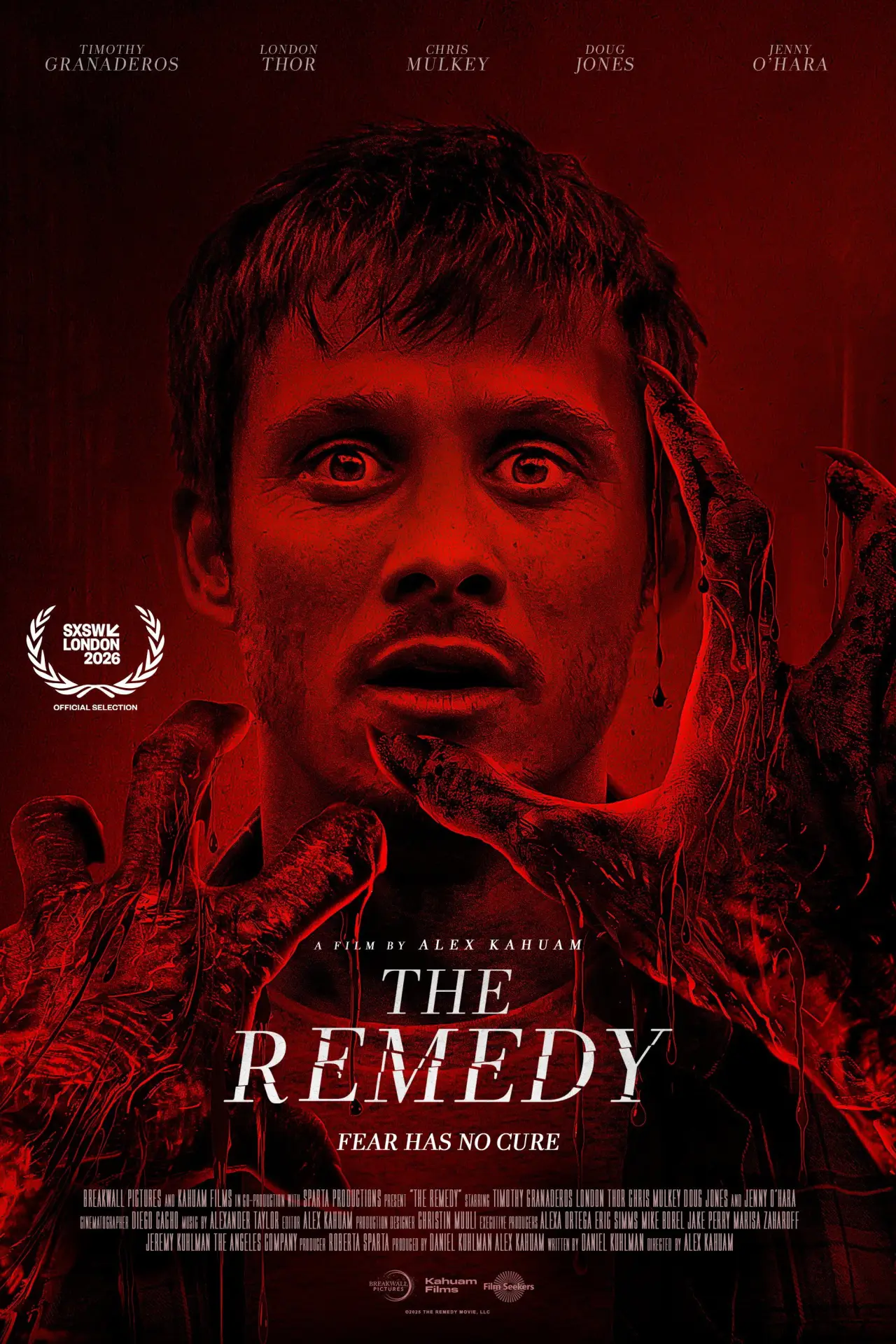 Plakat filmowy "The Remedy"
