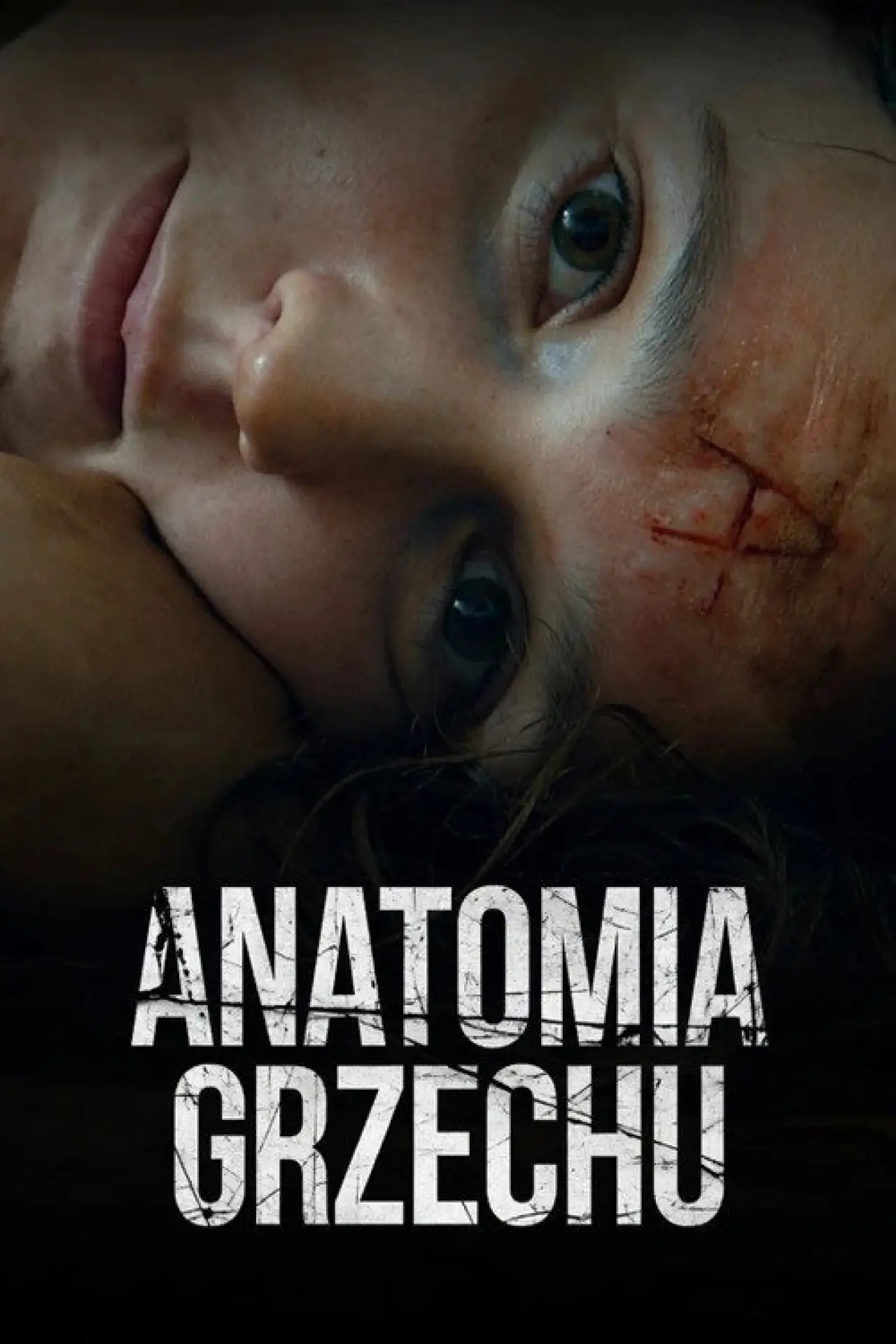 Plakat filmowy "Anatomia grzechu"