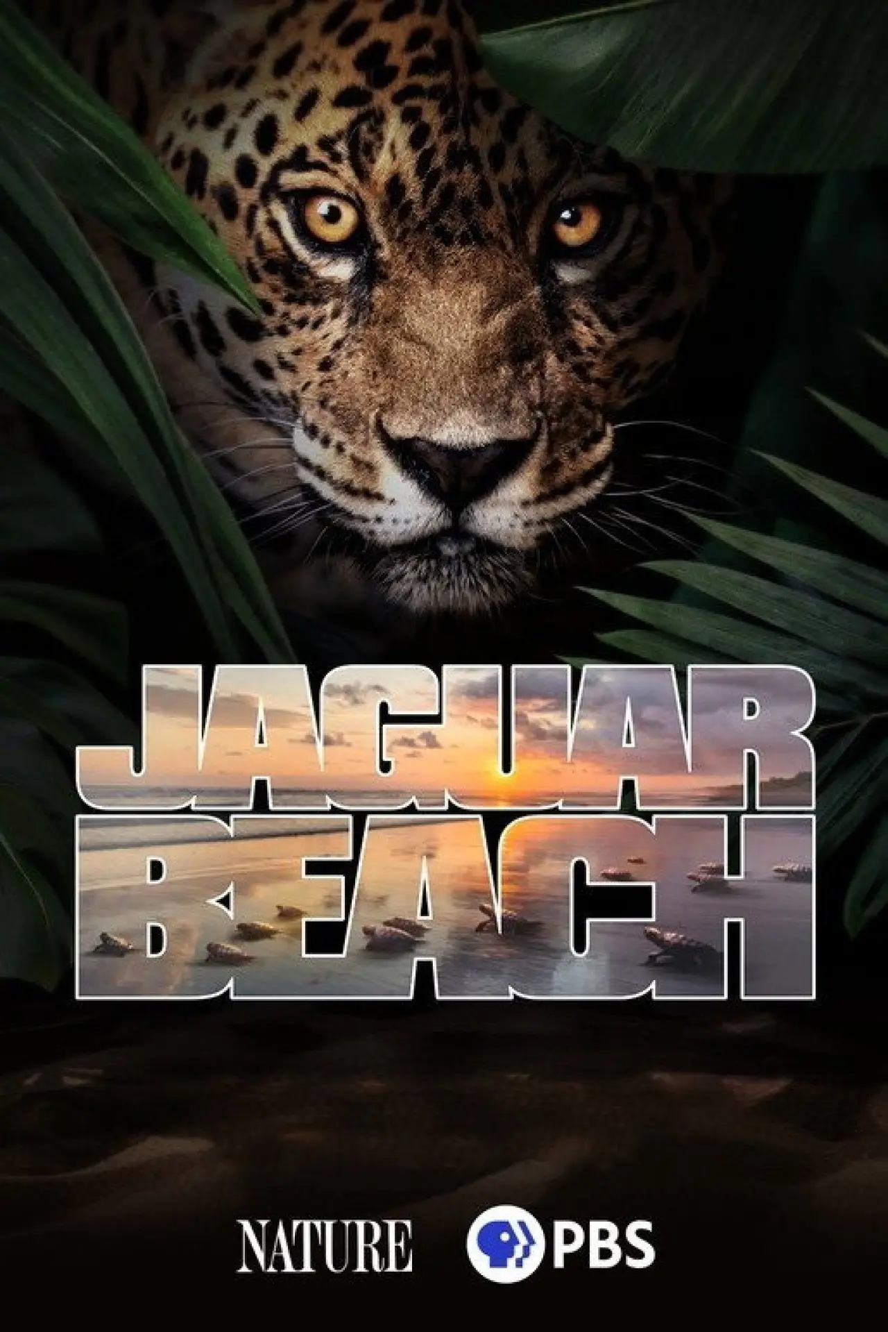 Plakat filmowy "Jaguar Beach‎"