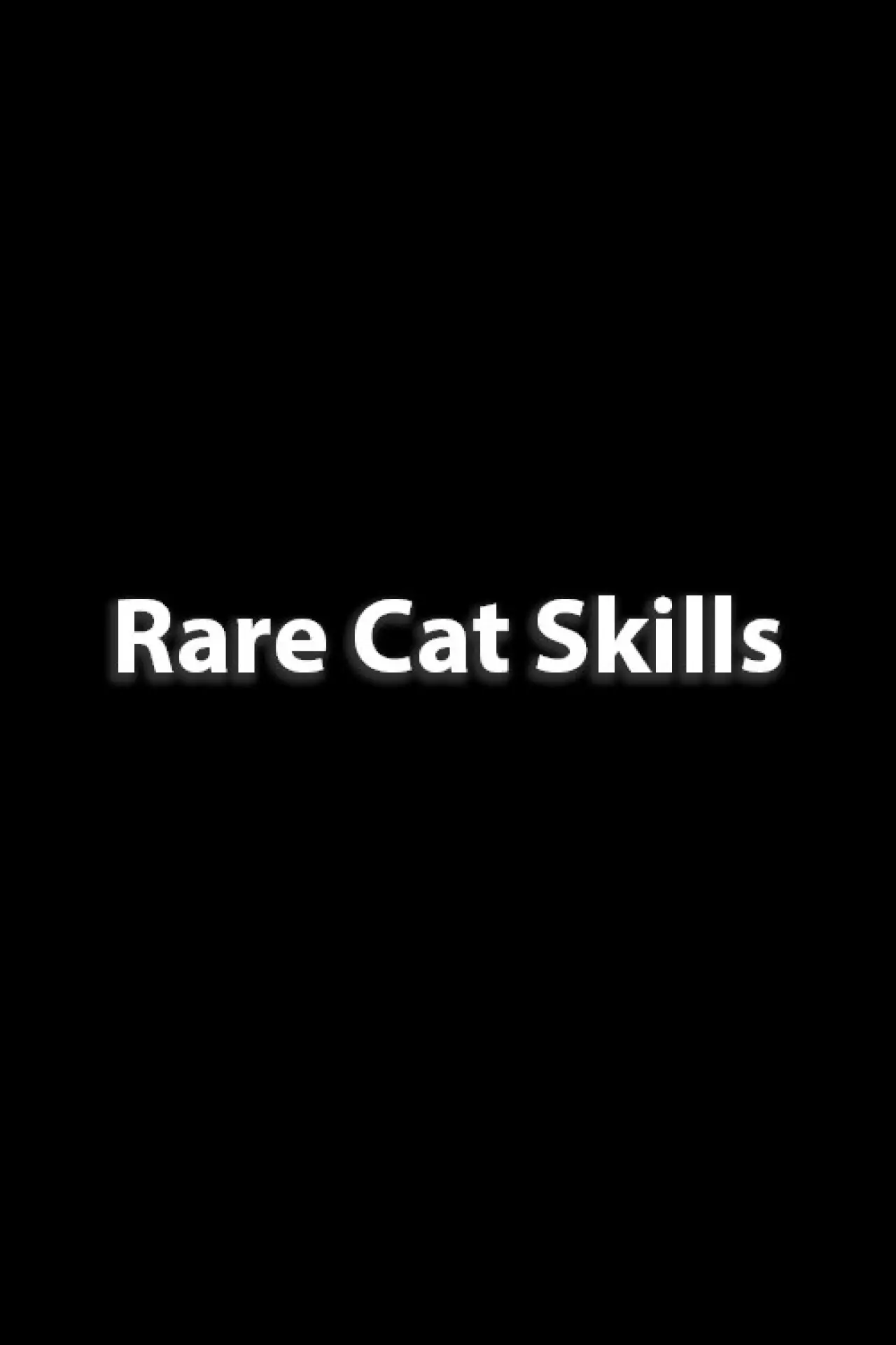 Plakat filmowy "Rare Cat Skills"