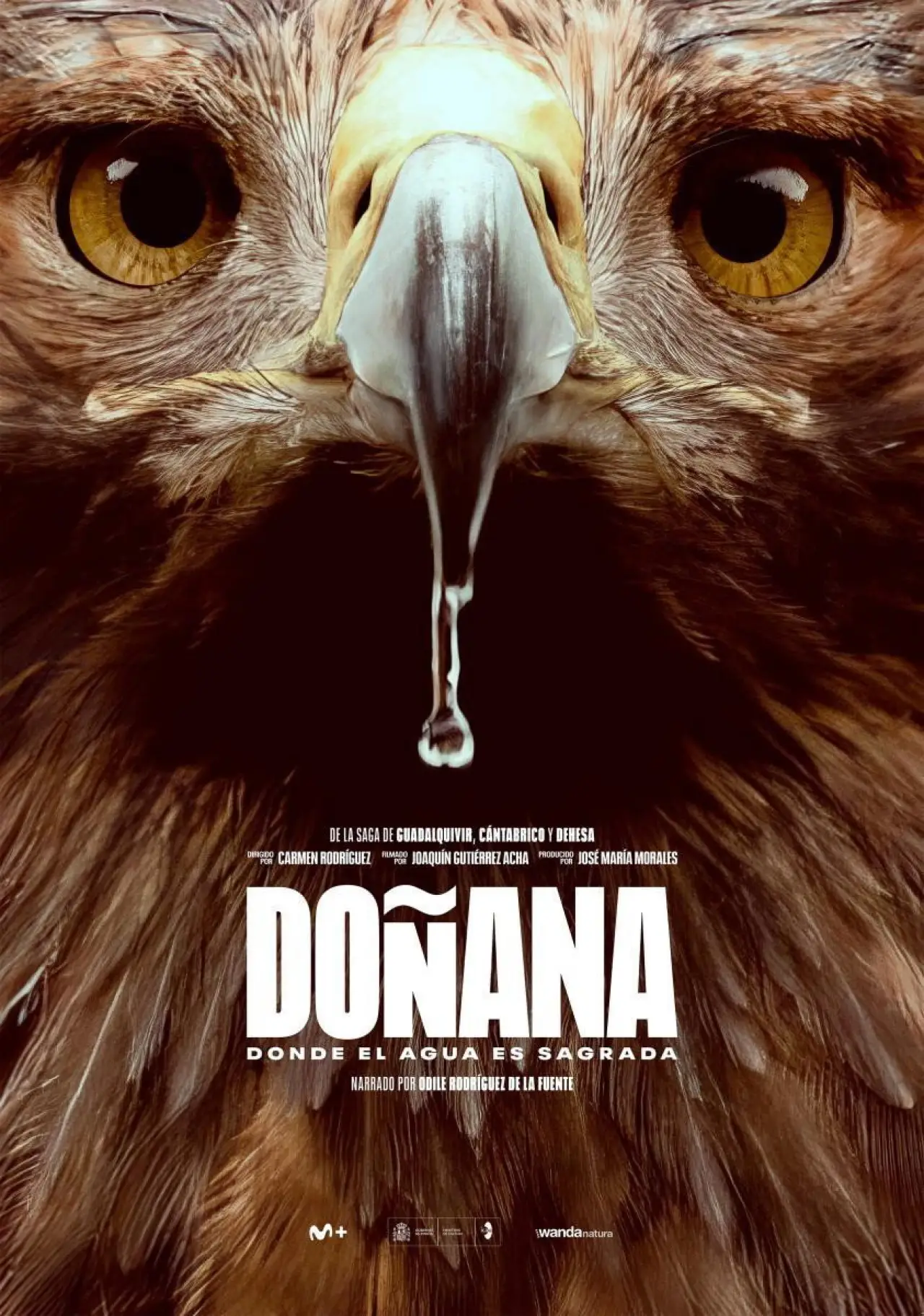 Plakat filmowy "Doñana"