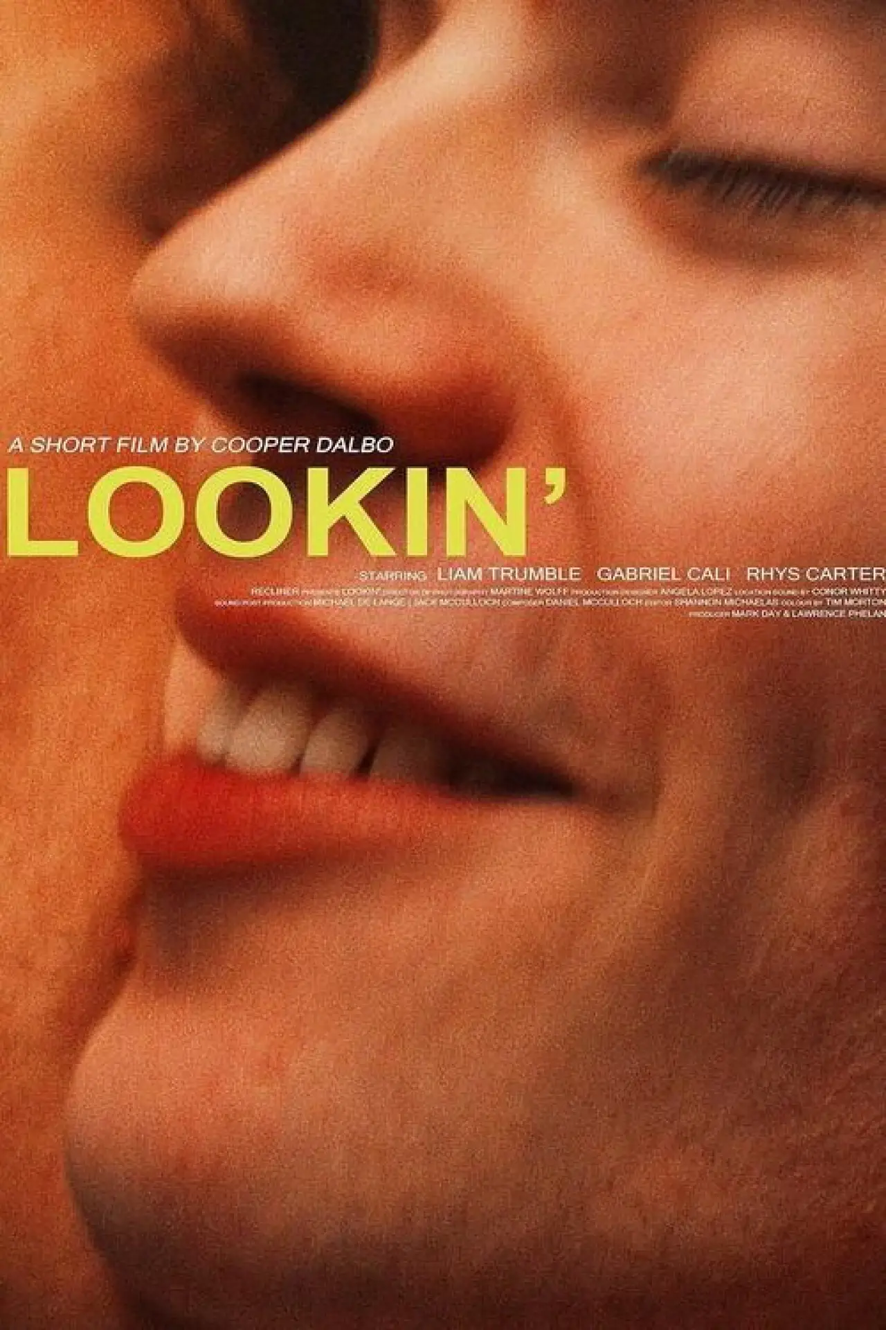 Plakat filmowy "Lookin