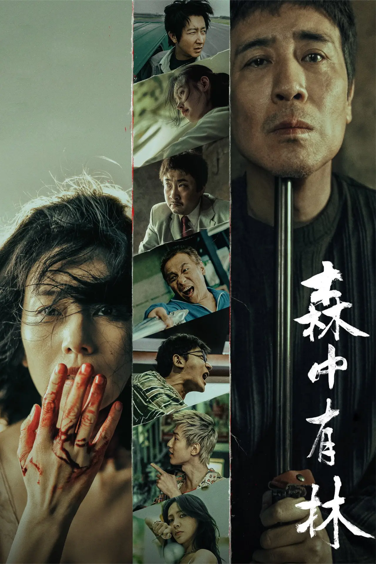 Plakat filmowy "森中有林"