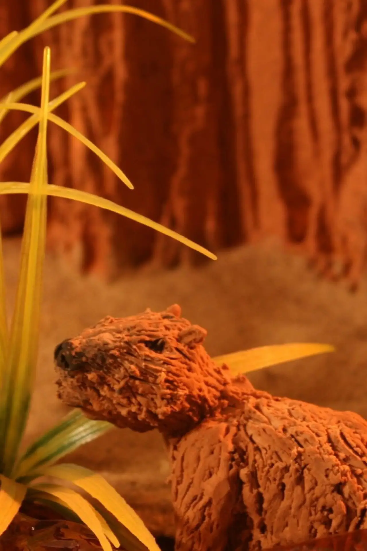 Plakat filmowy "Capibara"