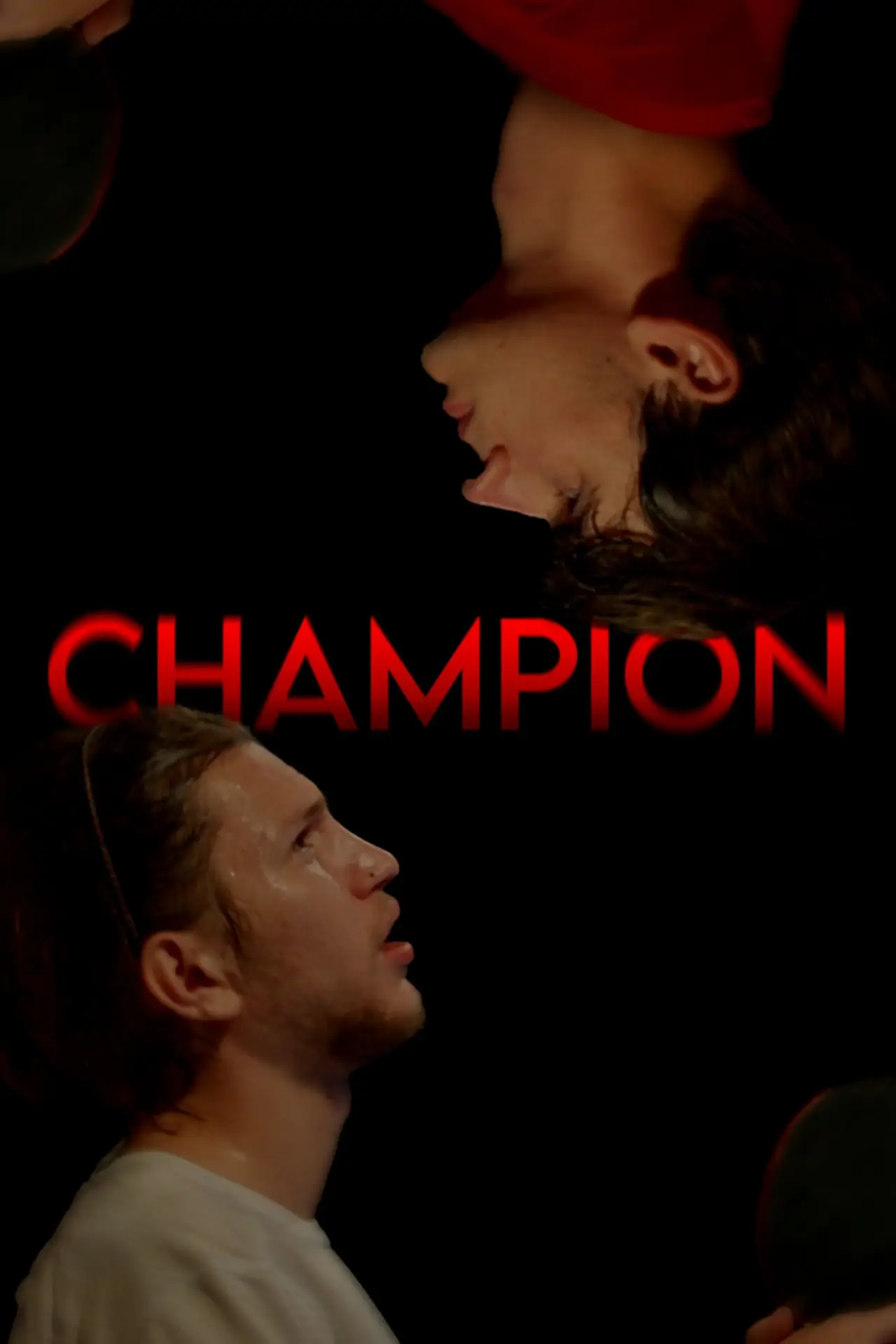Plakat filmowy "CHAMPION"