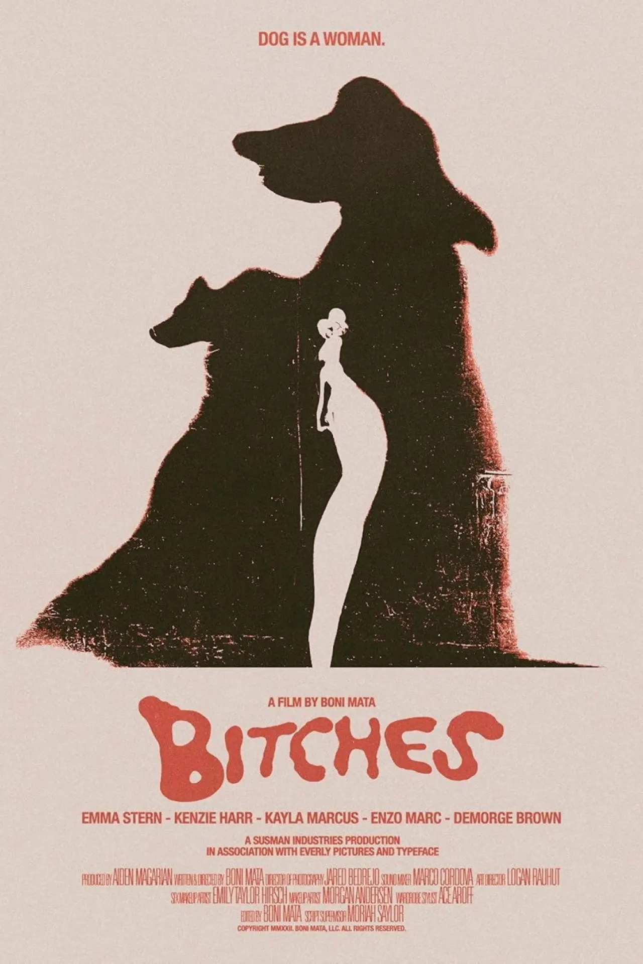 Plakat filmowy "Bitches"