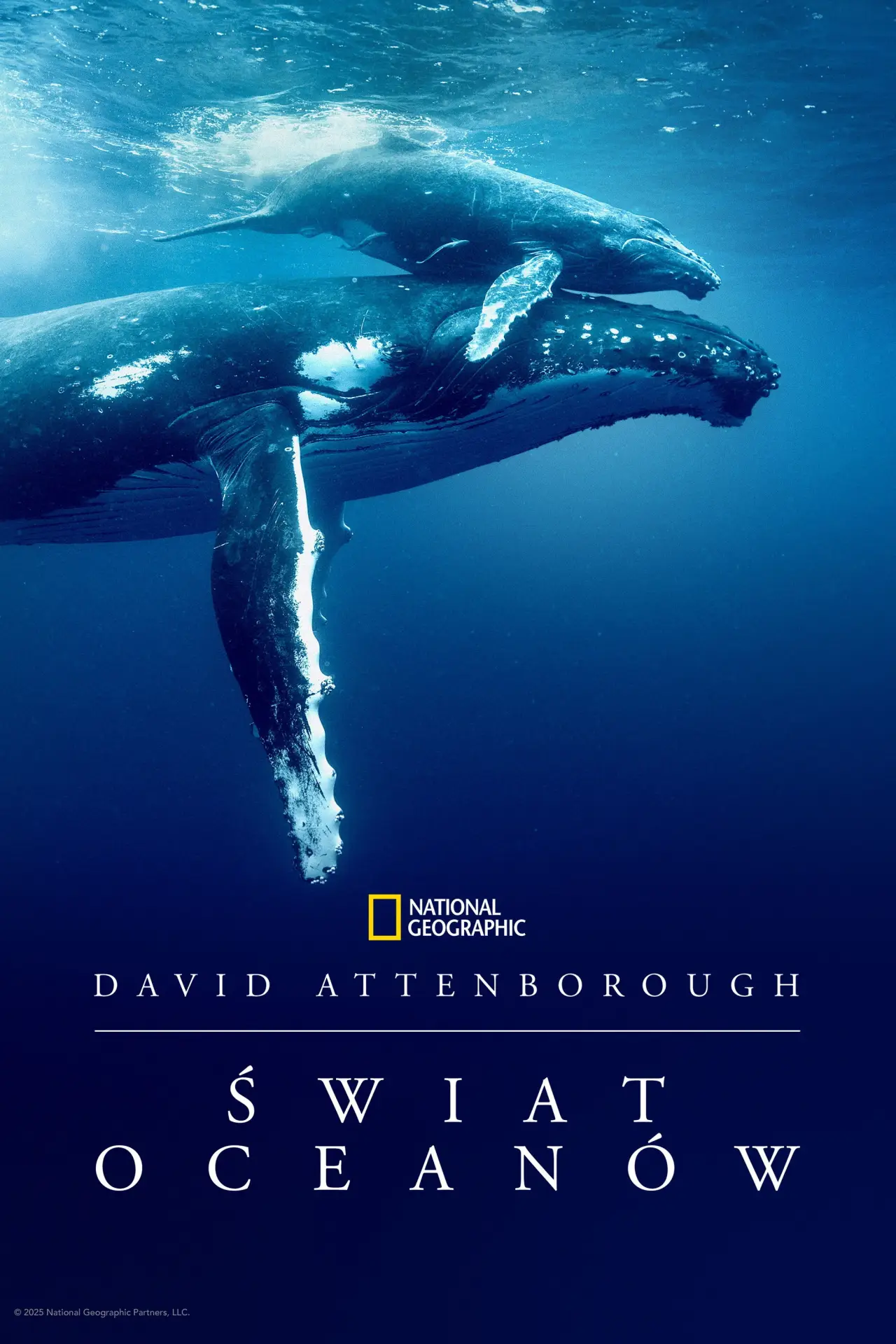Plakat filmowy "David Attenborough Świat oceanów"