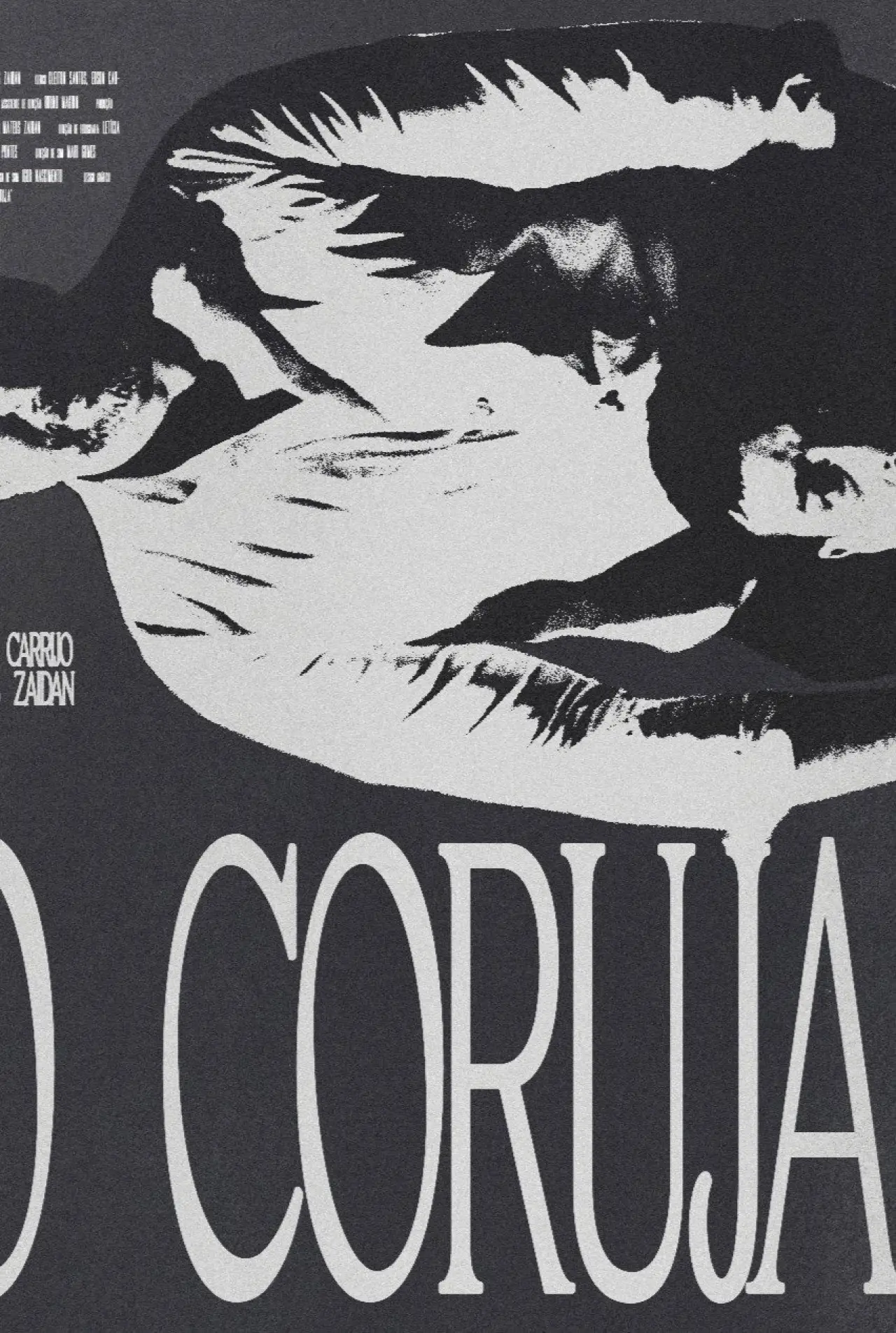 Plakat filmowy "O Coruja"