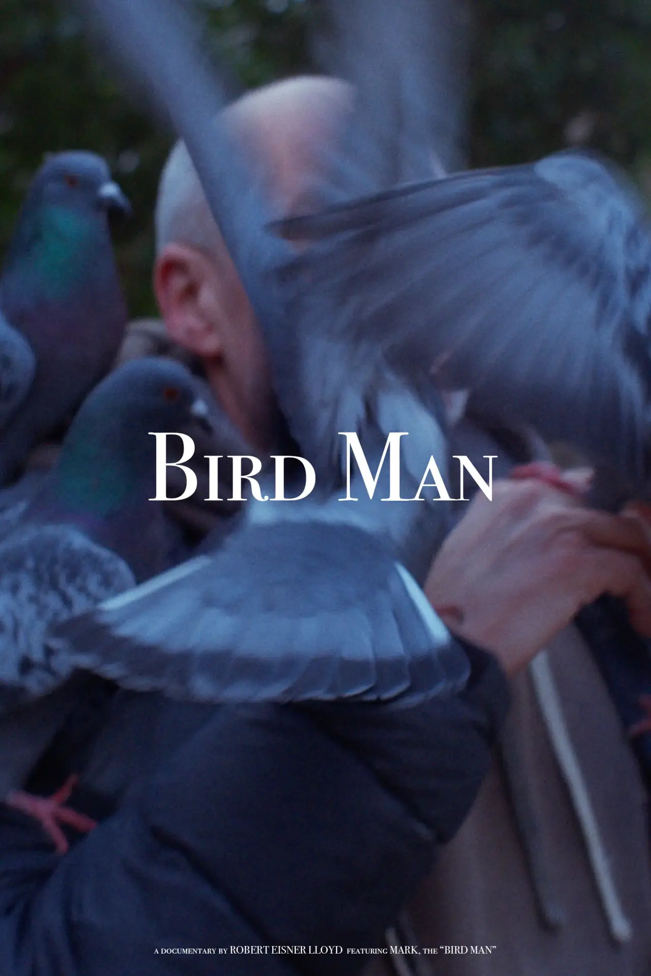 Plakat filmowy "Bird Man"