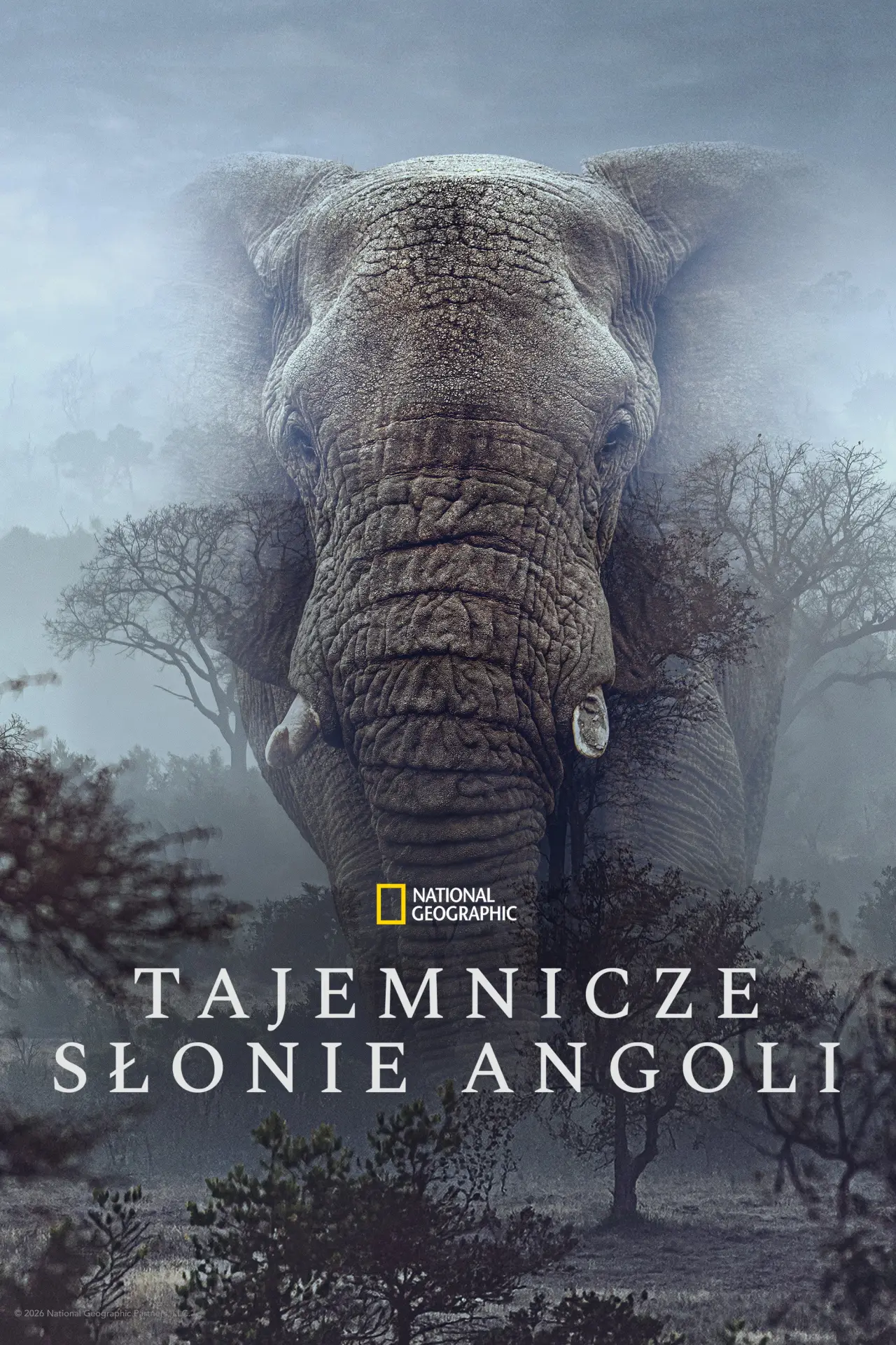 Plakat filmowy "Ghost Elephants"