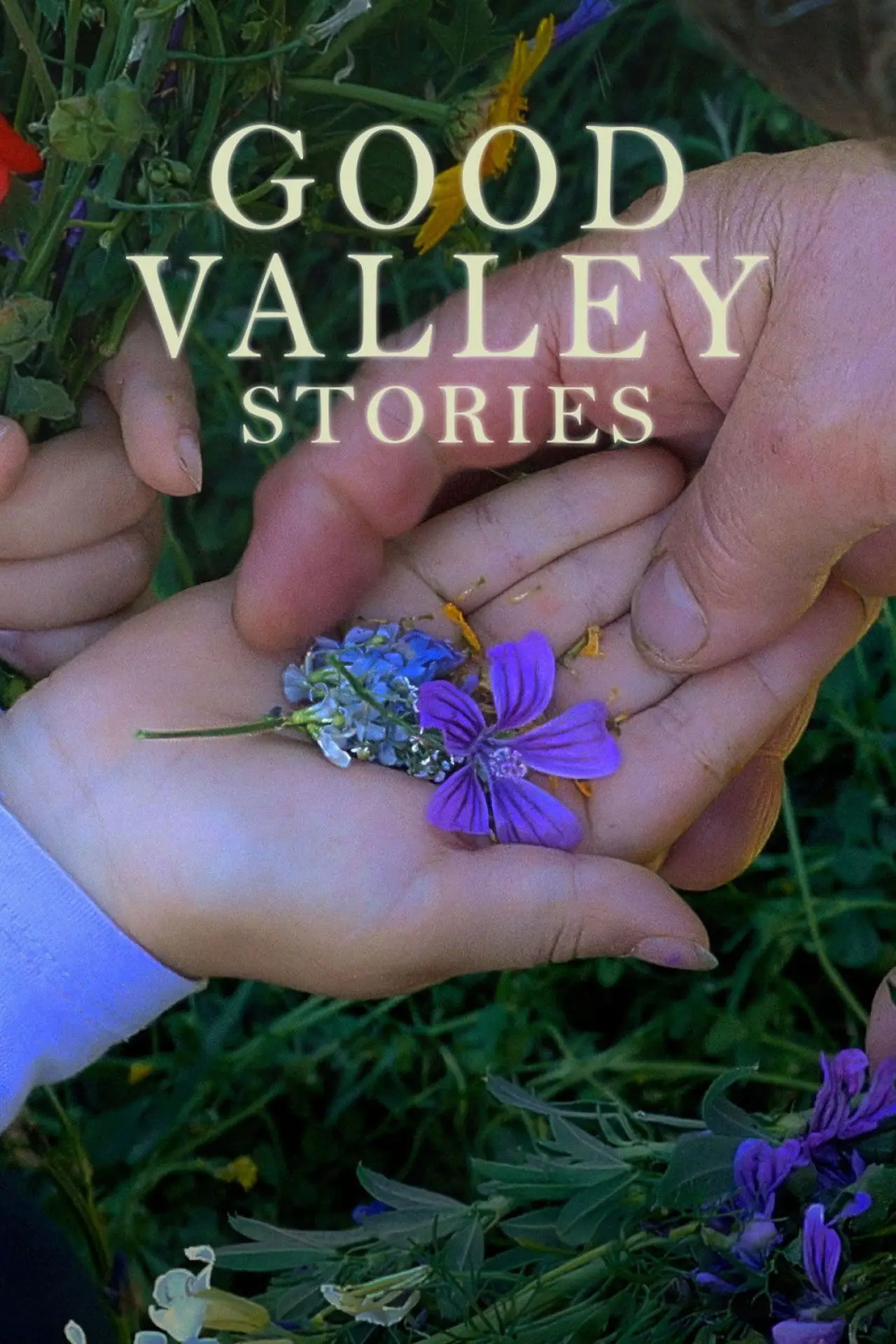 Plakat filmowy "Historias del buen valle"
