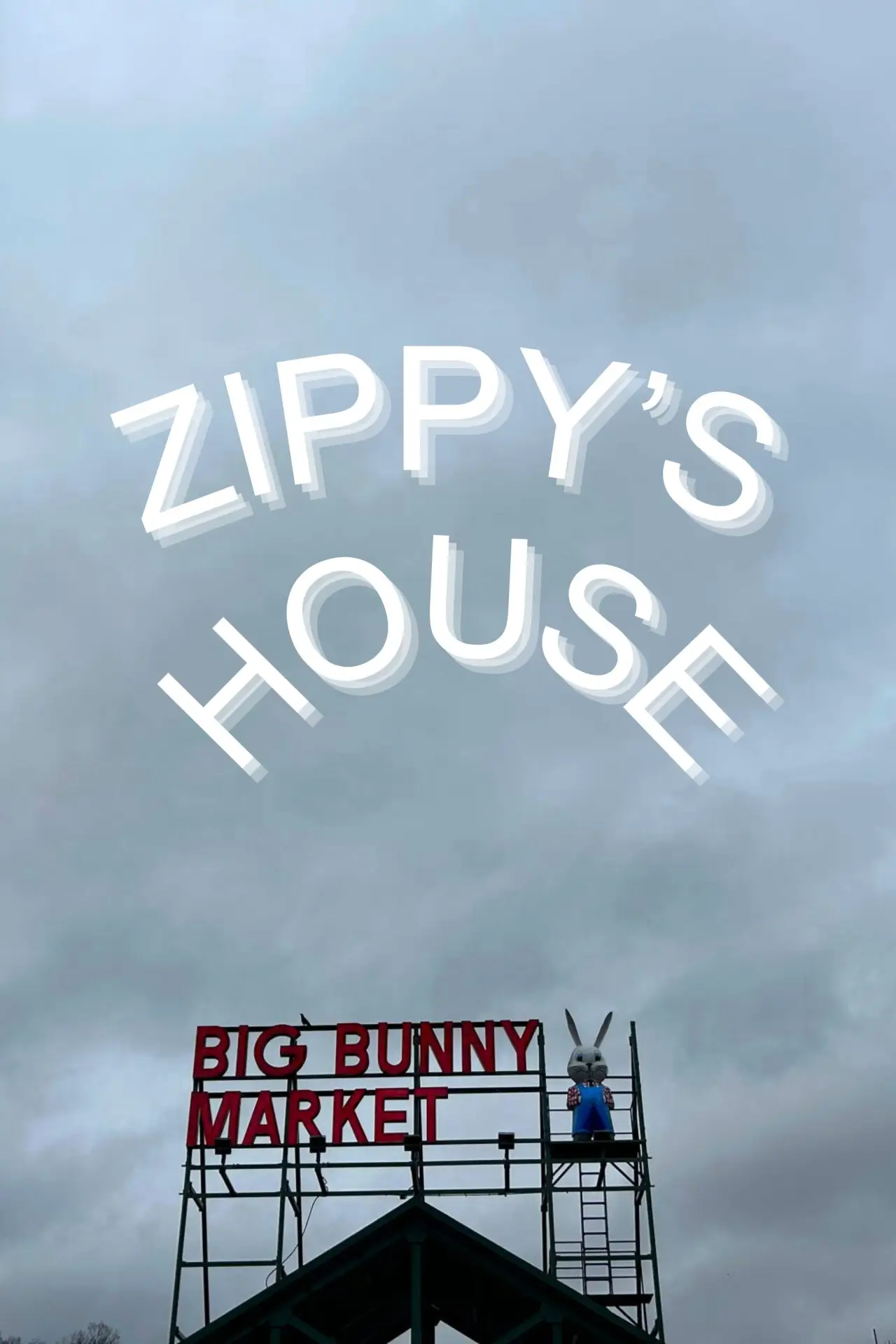 Plakat filmowy "Zippy