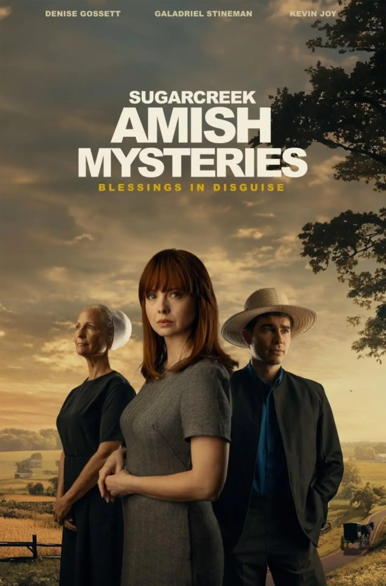 Plakat filmowy "Sugarcreek Amish Mysteries: Blessings in Disguise"