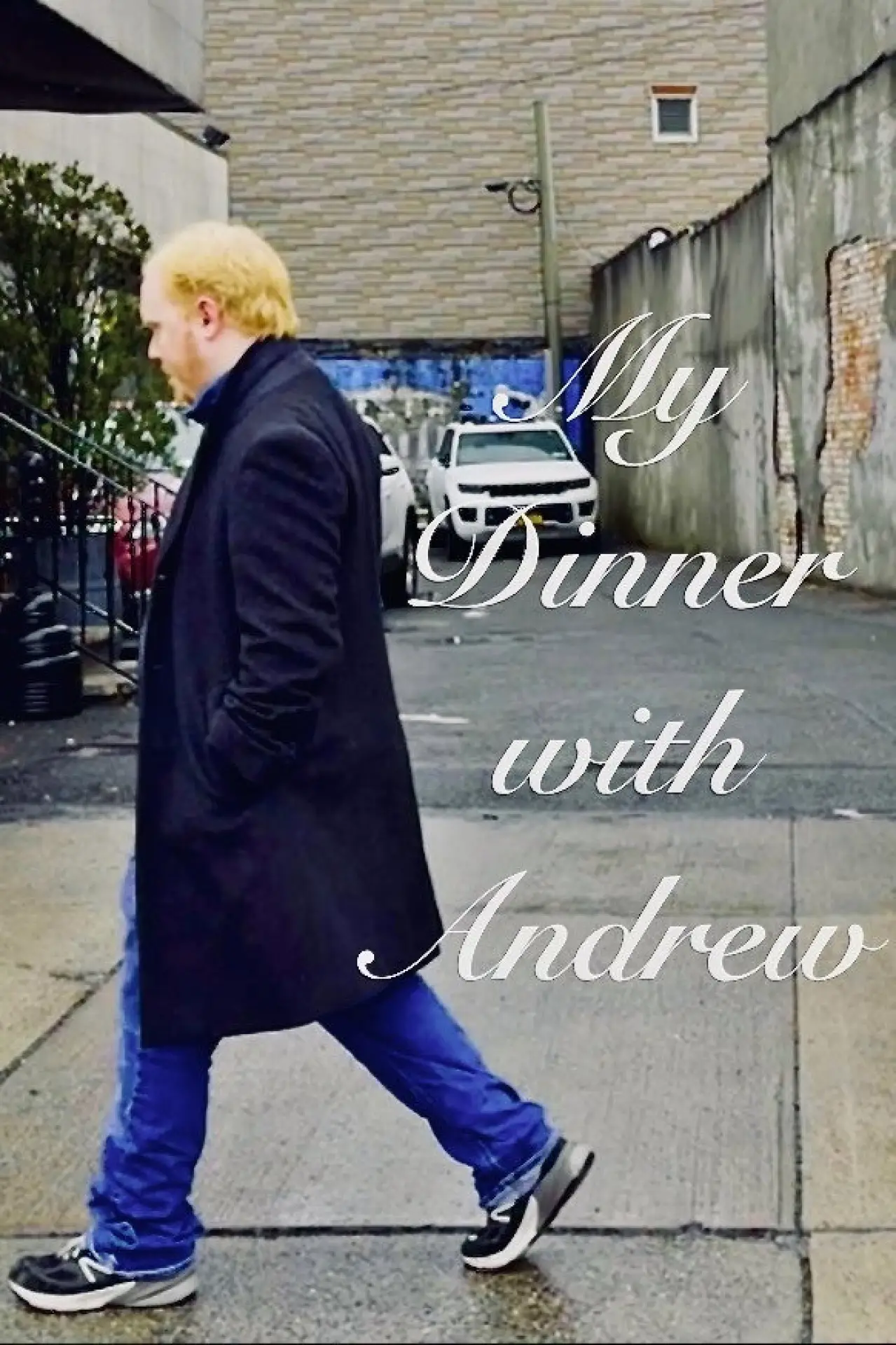Plakat filmowy "My Dinner with Andrew"