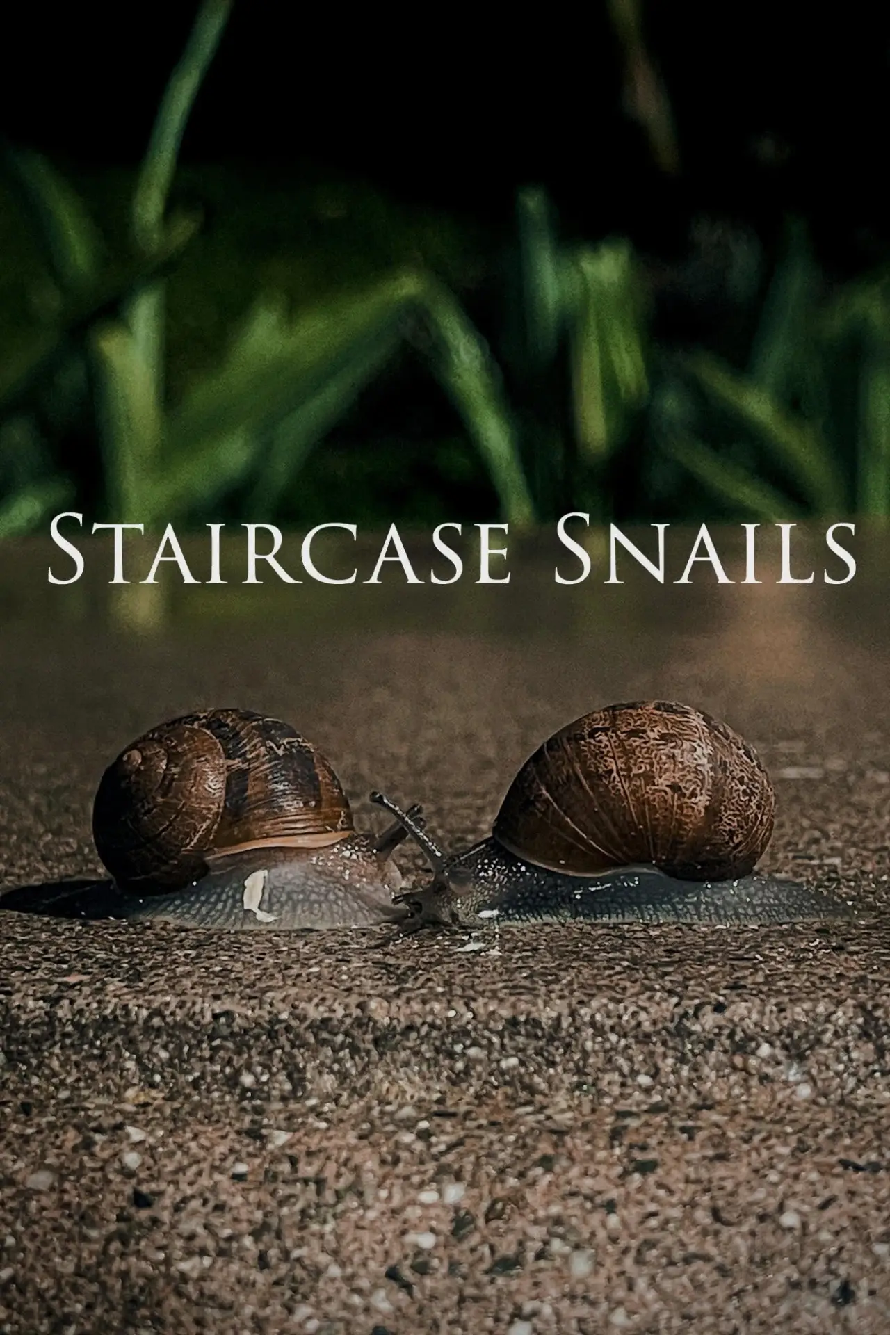 Plakat filmowy "Staircase Snails"