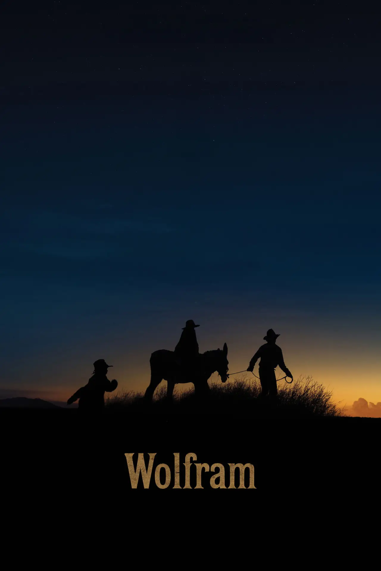 Plakat filmowy "Wolfram"