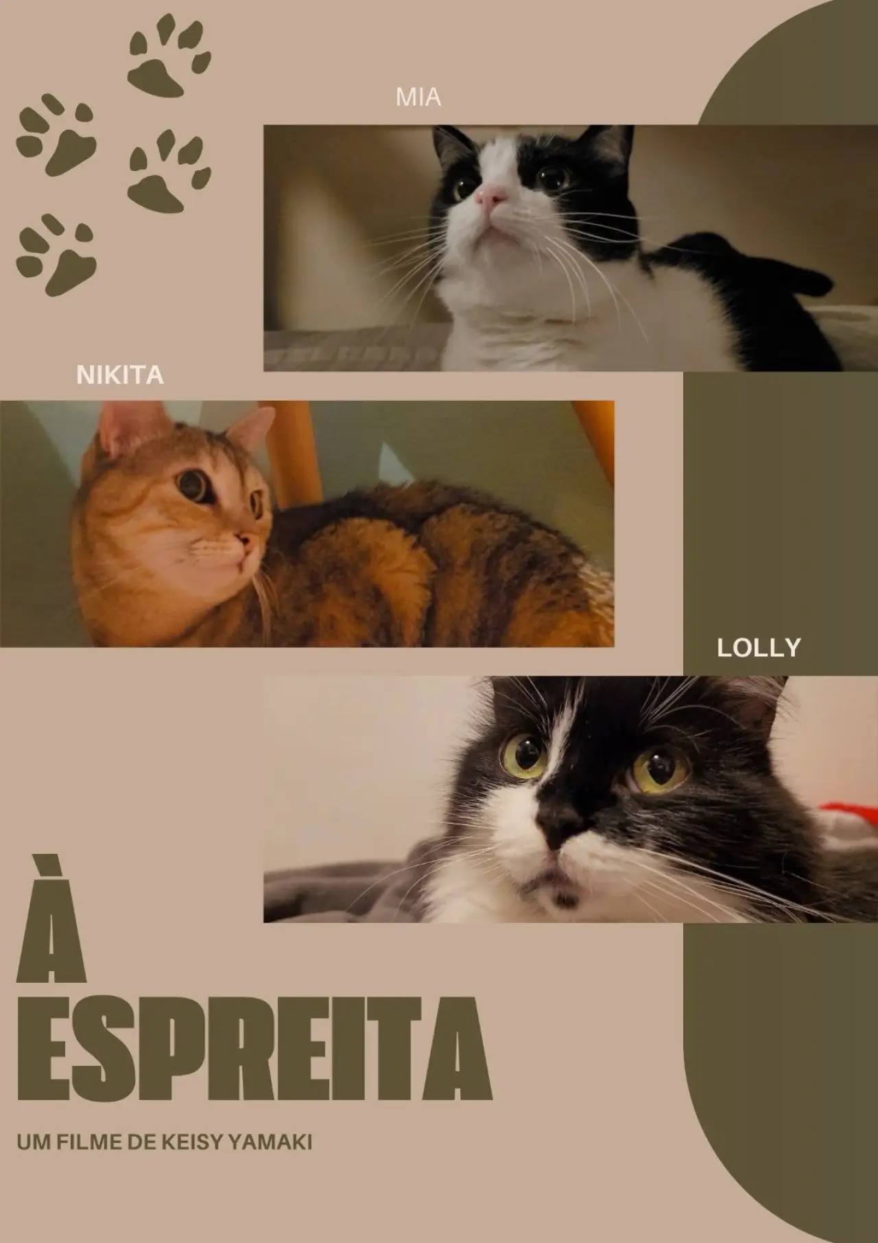 Plakat filmowy "À Espreita"